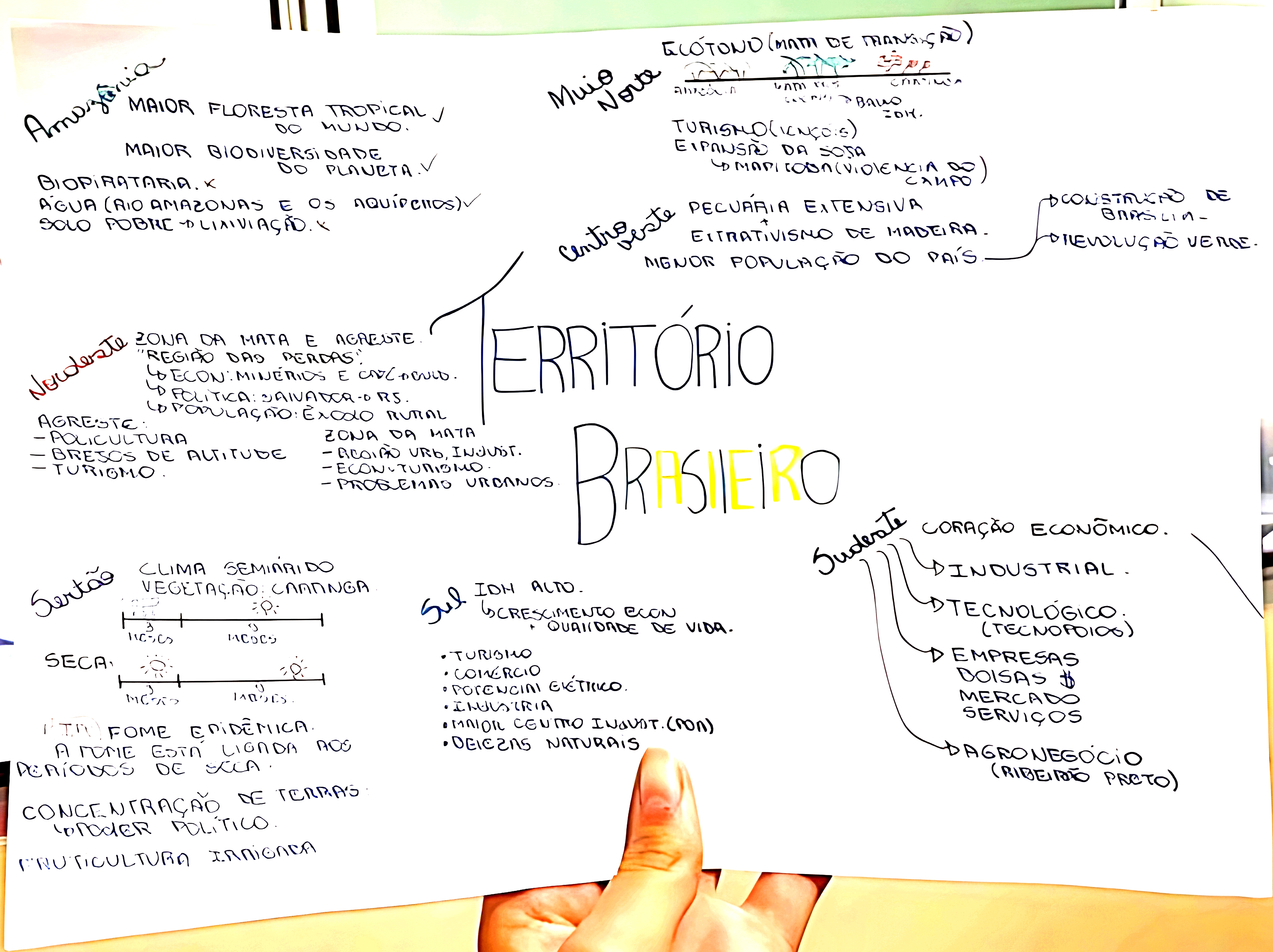 MAPA MENTAL SOBRE TERRITÓRIOS