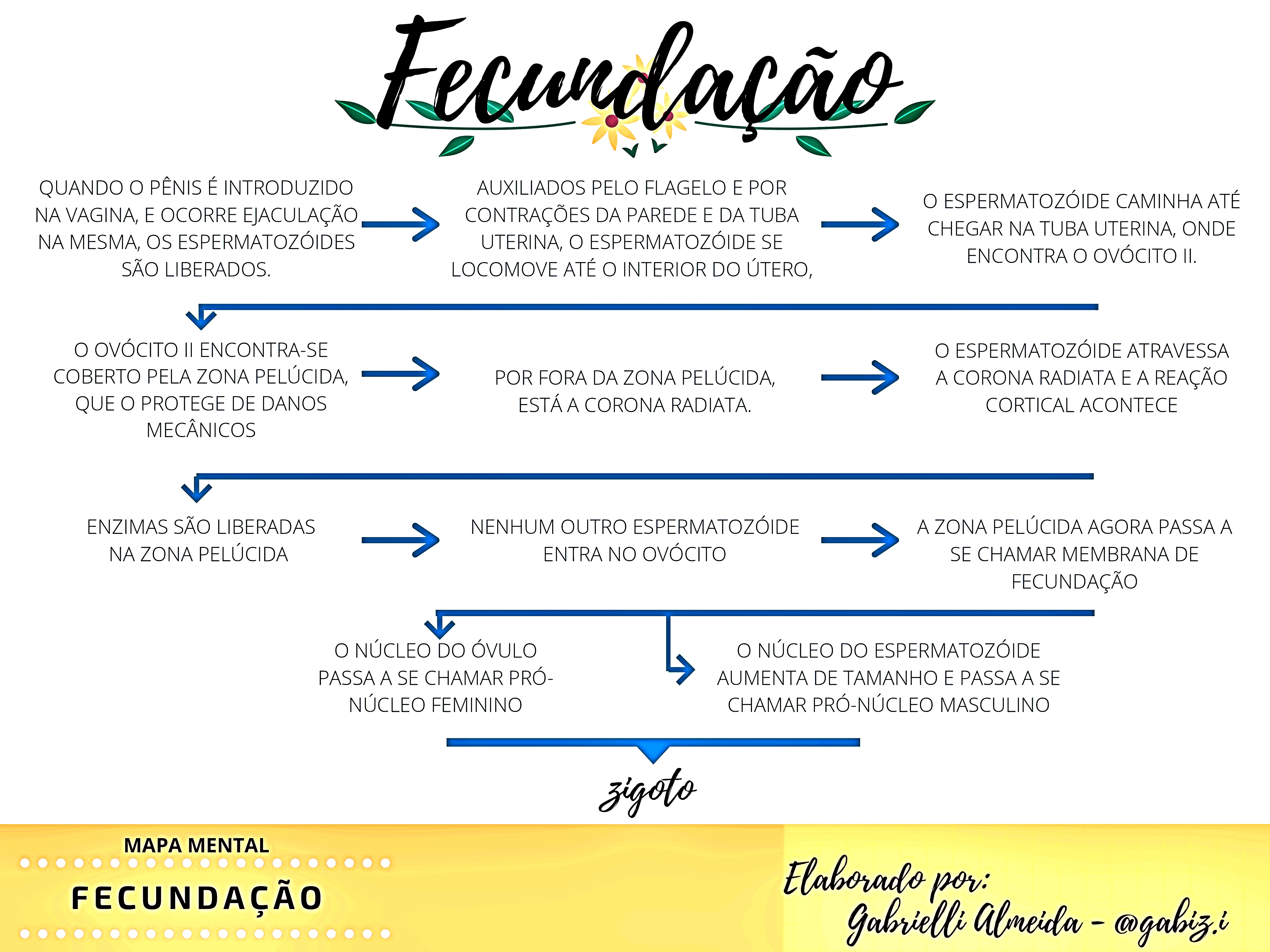 MAPA MENTAL SOBRE FECUNDAÇÃO