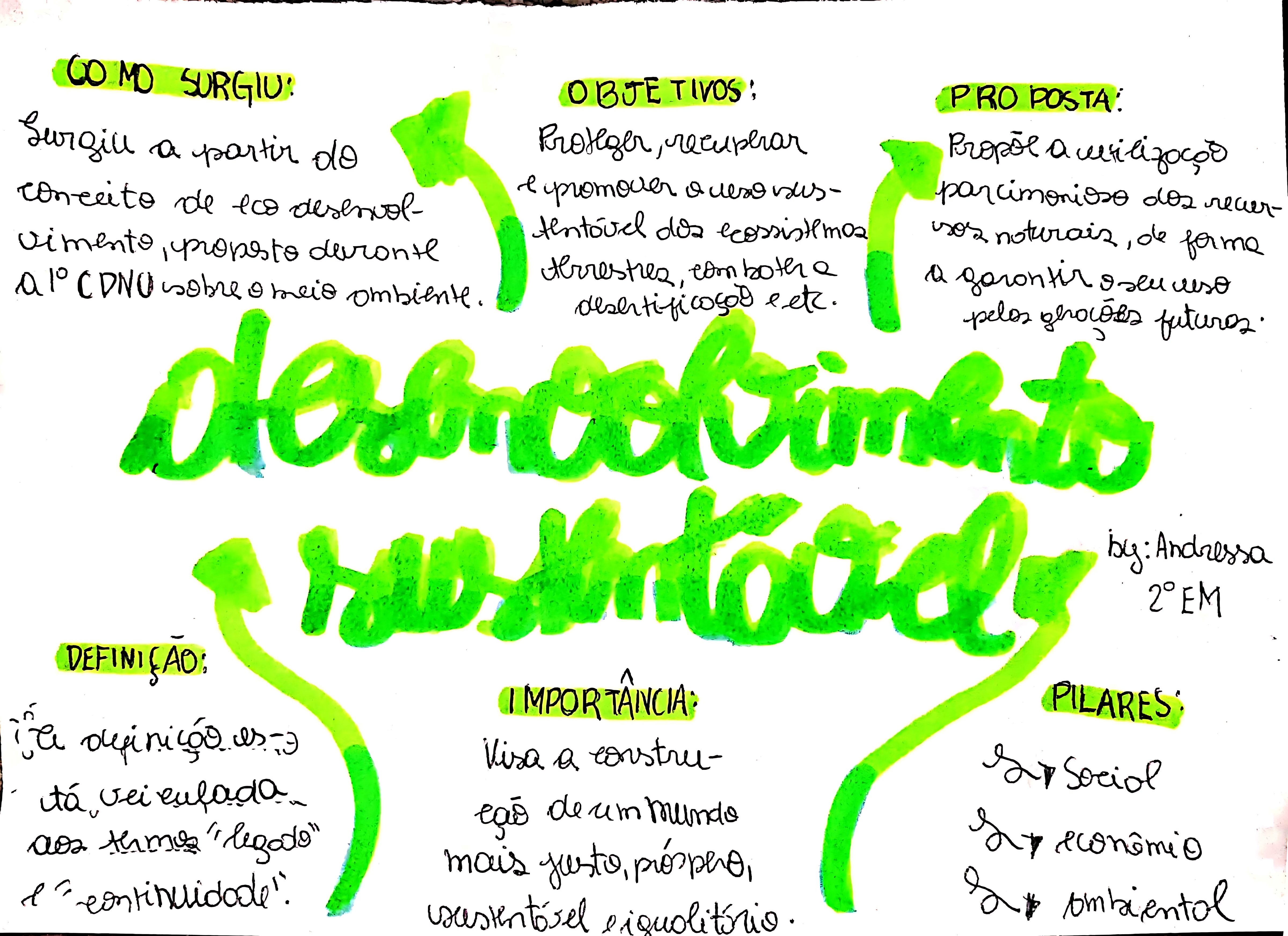 MAPA MENTAL SOBRE DESENVOLVIMENTO SUSTENTÁVEL