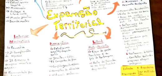 MAPA MENTAL SOBRE TERRITÓRIOS