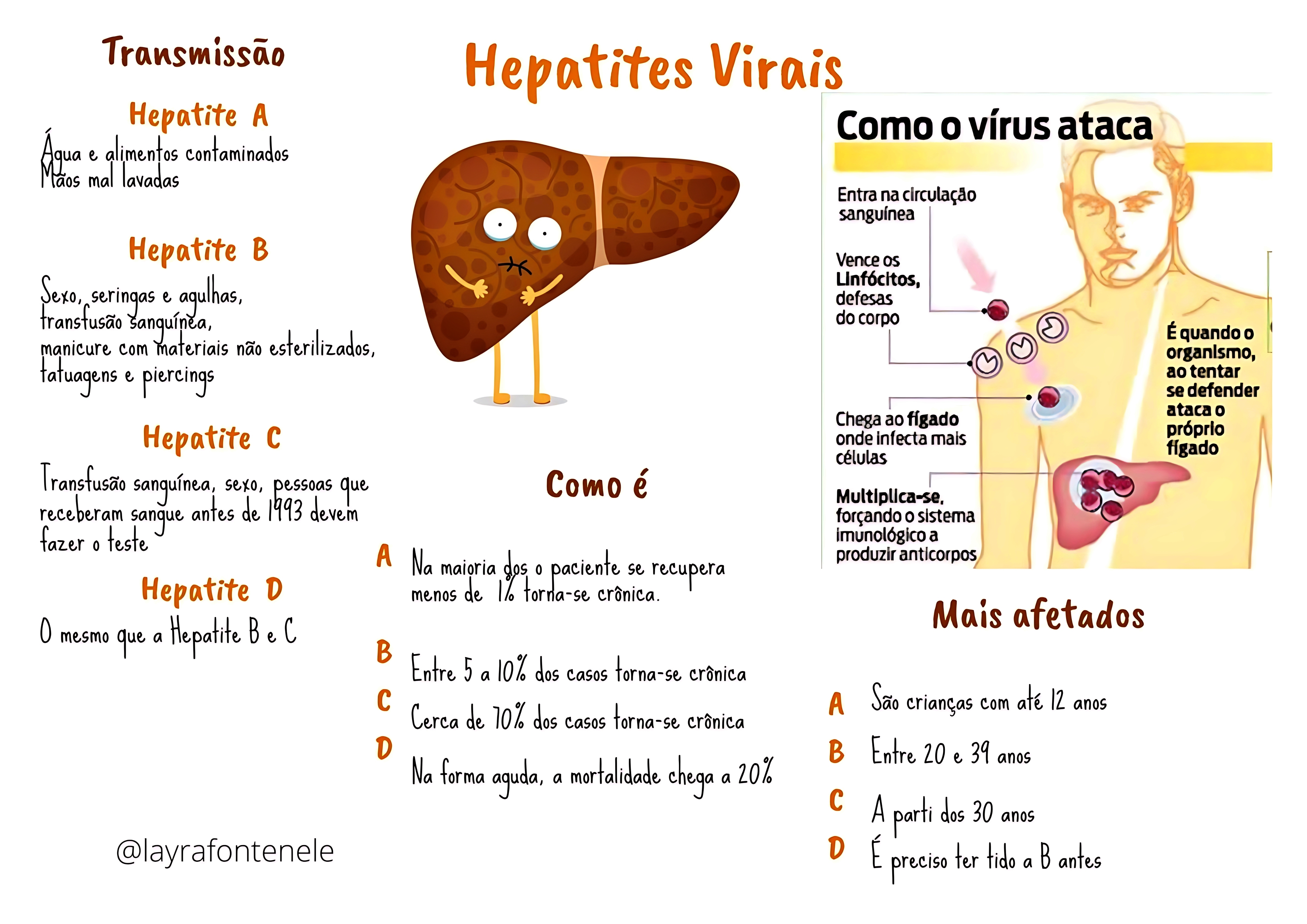 MAPA MENTAL SOBRE HEPATITE