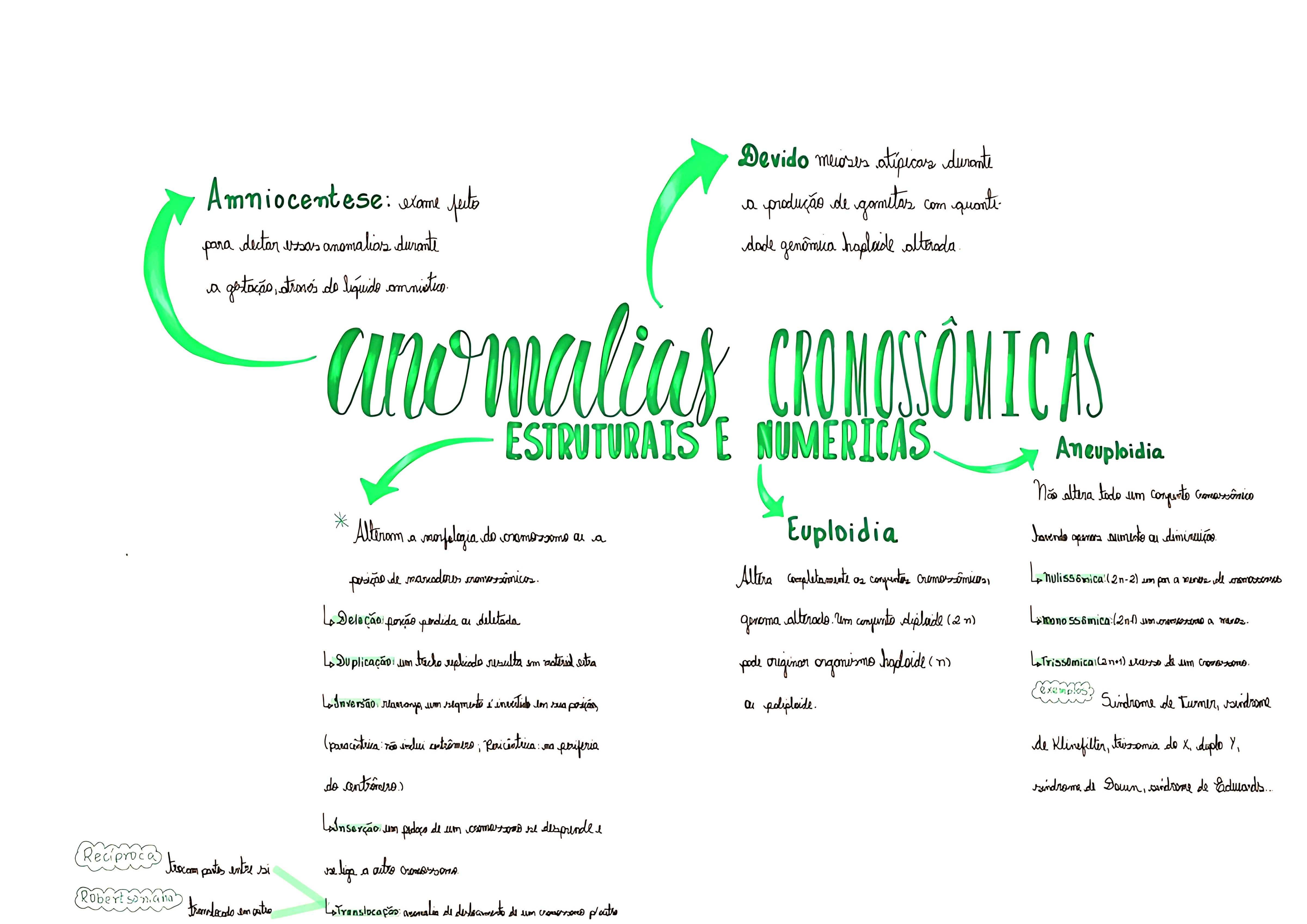 MAPA MENTAL SOBRE ALTERAÇÕES CROMOSSOMICAS