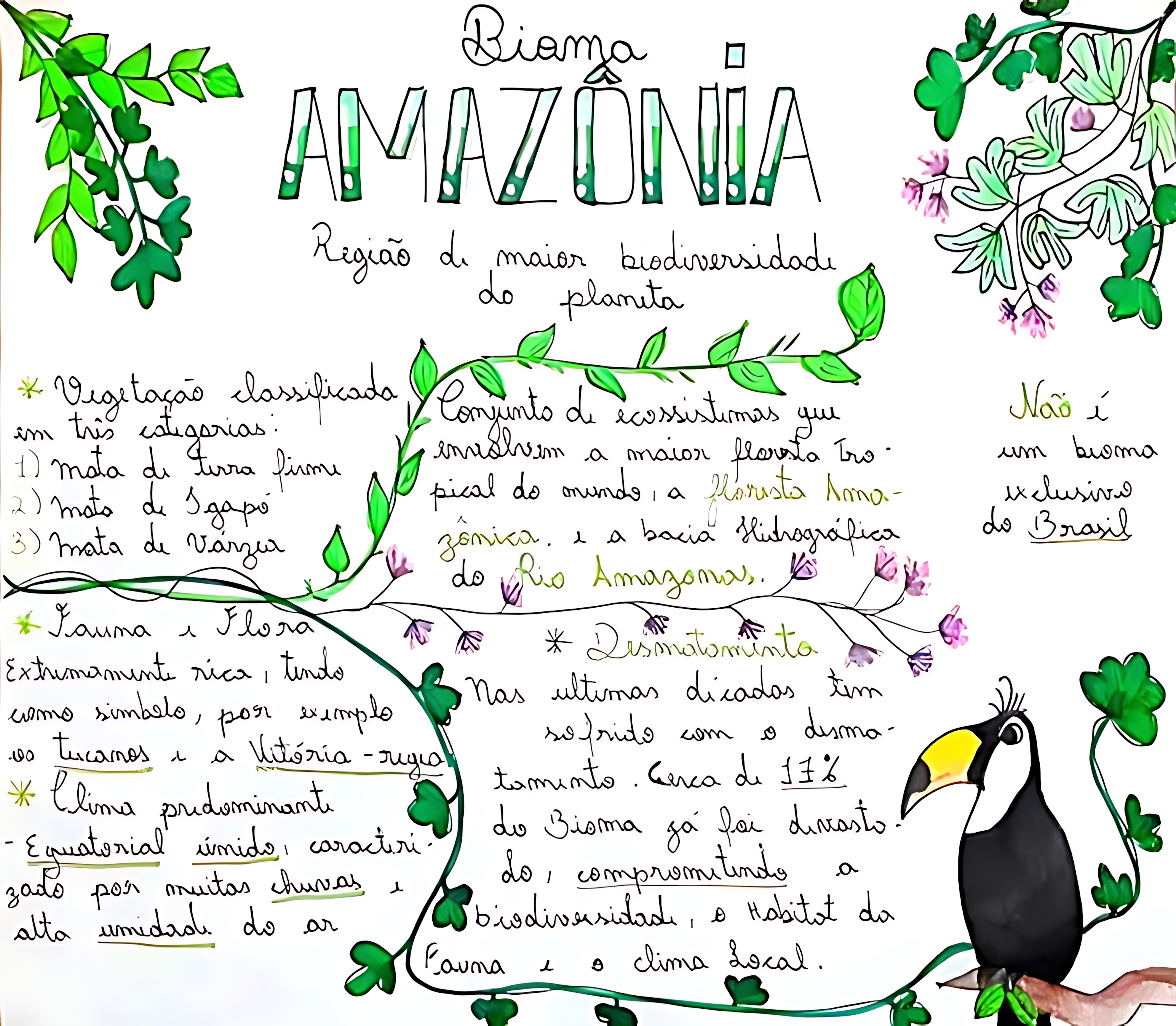 MAPA MENTAL SOBRE FLORESTA AMAZÔNICA