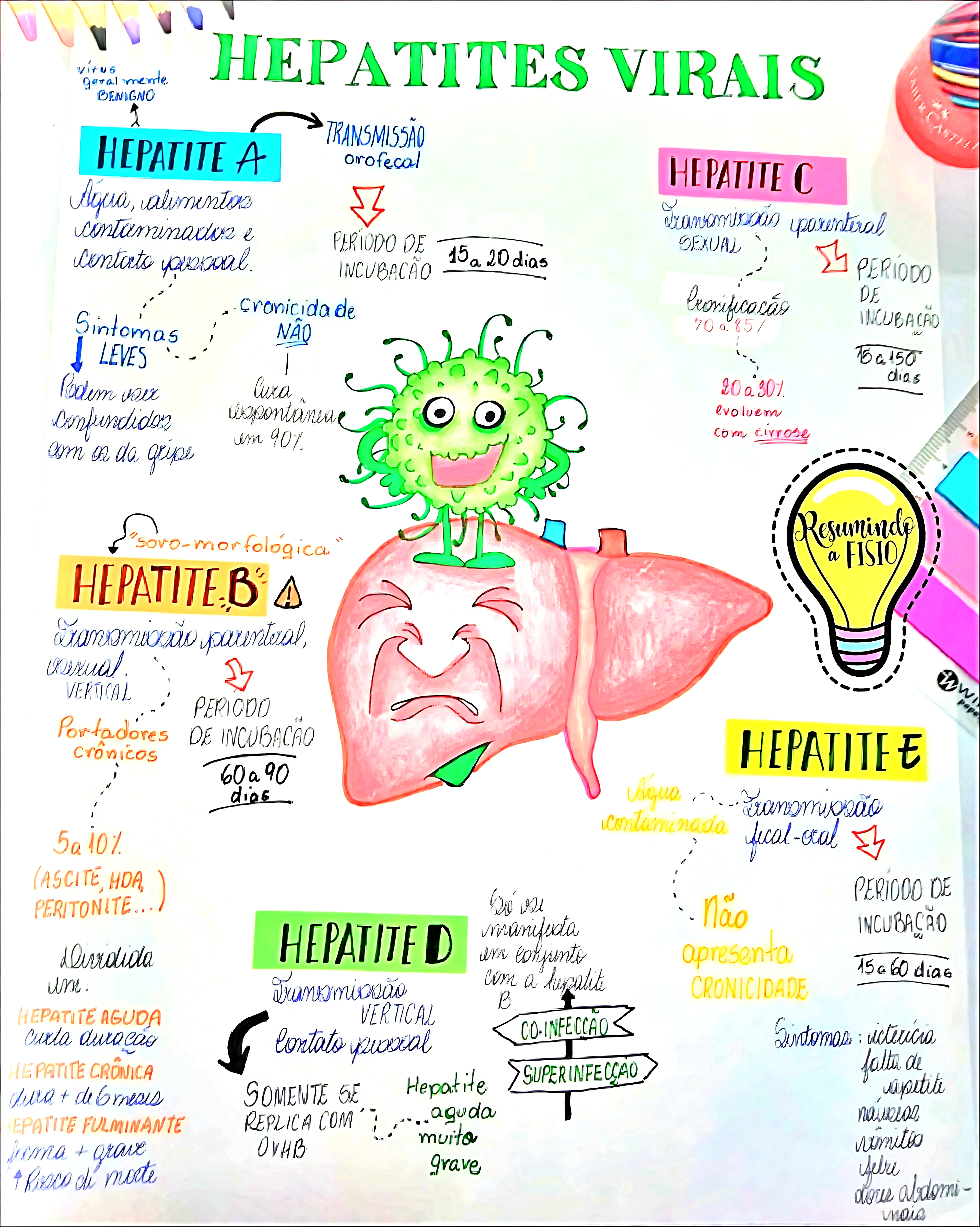 MAPA MENTAL SOBRE HEPATITE