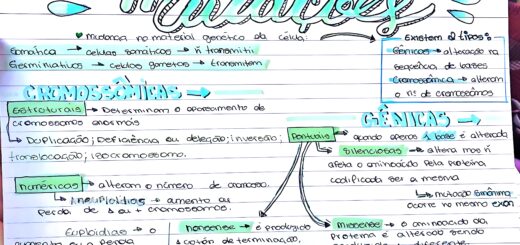 MAPA MENTAL SOBRE ALTERAÇÕES CROMOSSOMICAS