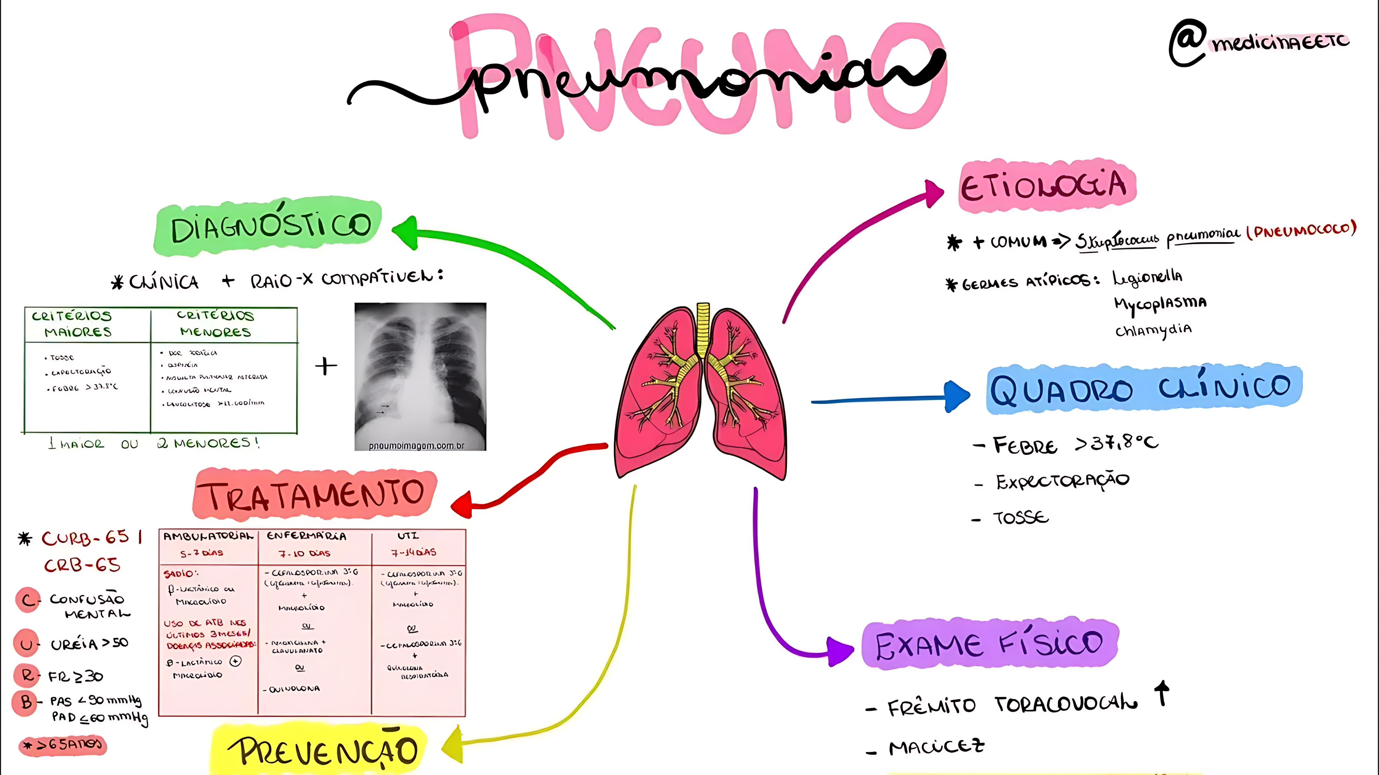 MAPA MENTAL SOBRE PNEUMONIA
