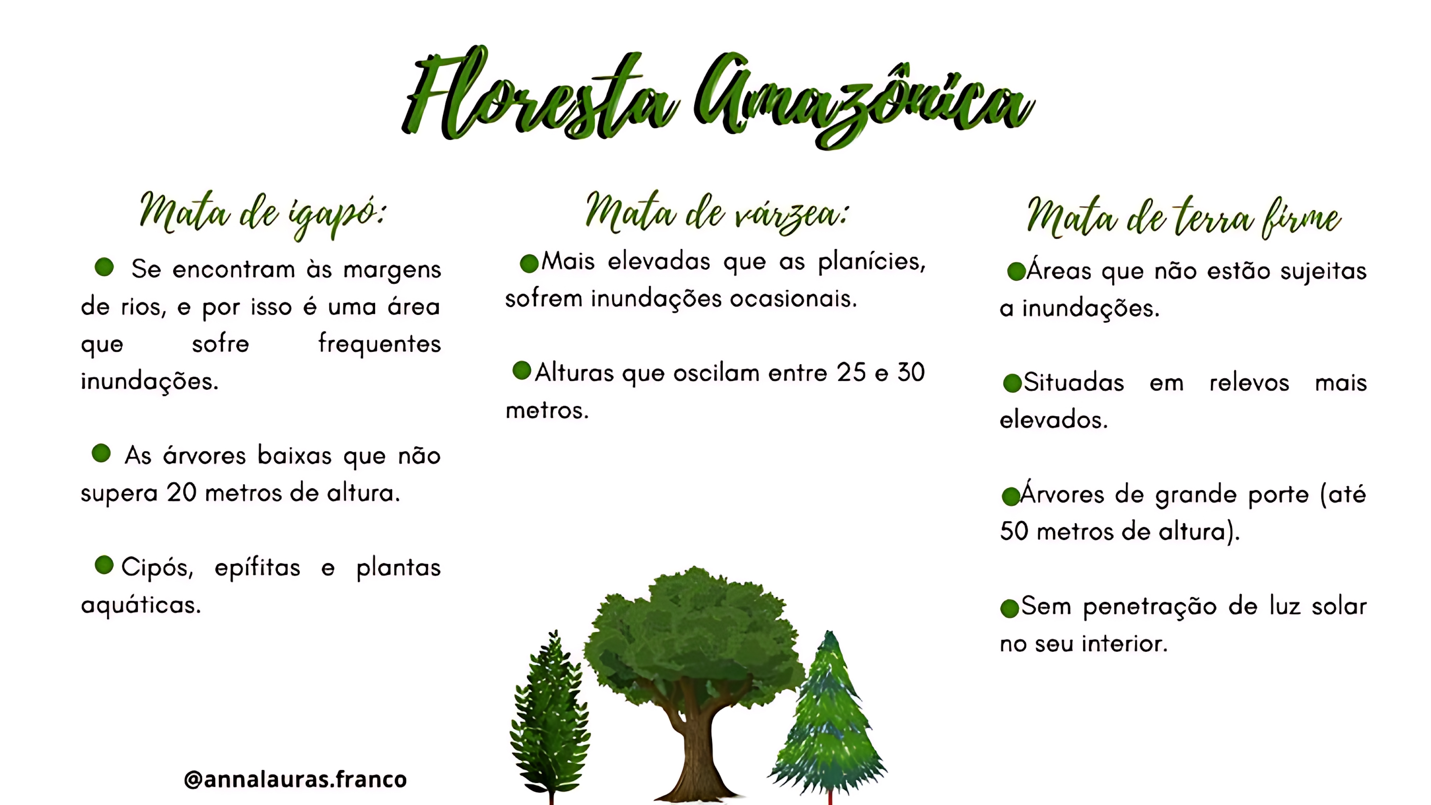 MAPA MENTAL SOBRE FLORESTA AMAZÔNICA