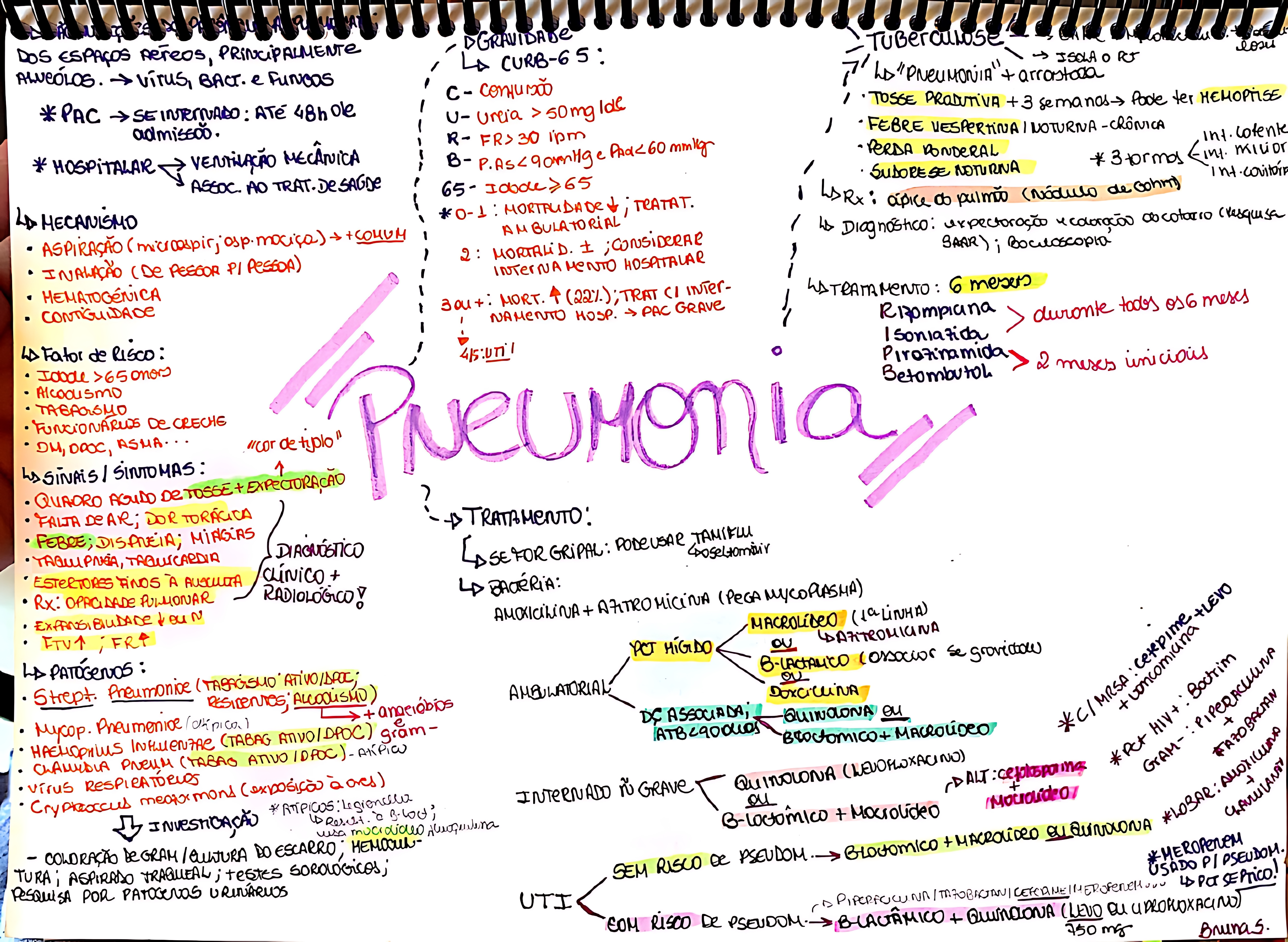 MAPA MENTAL SOBRE PNEUMONIA