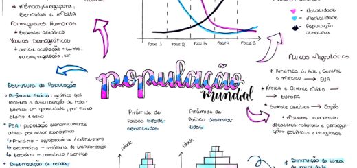 MAPA MENTAL SOBRE POPULAÇÃO