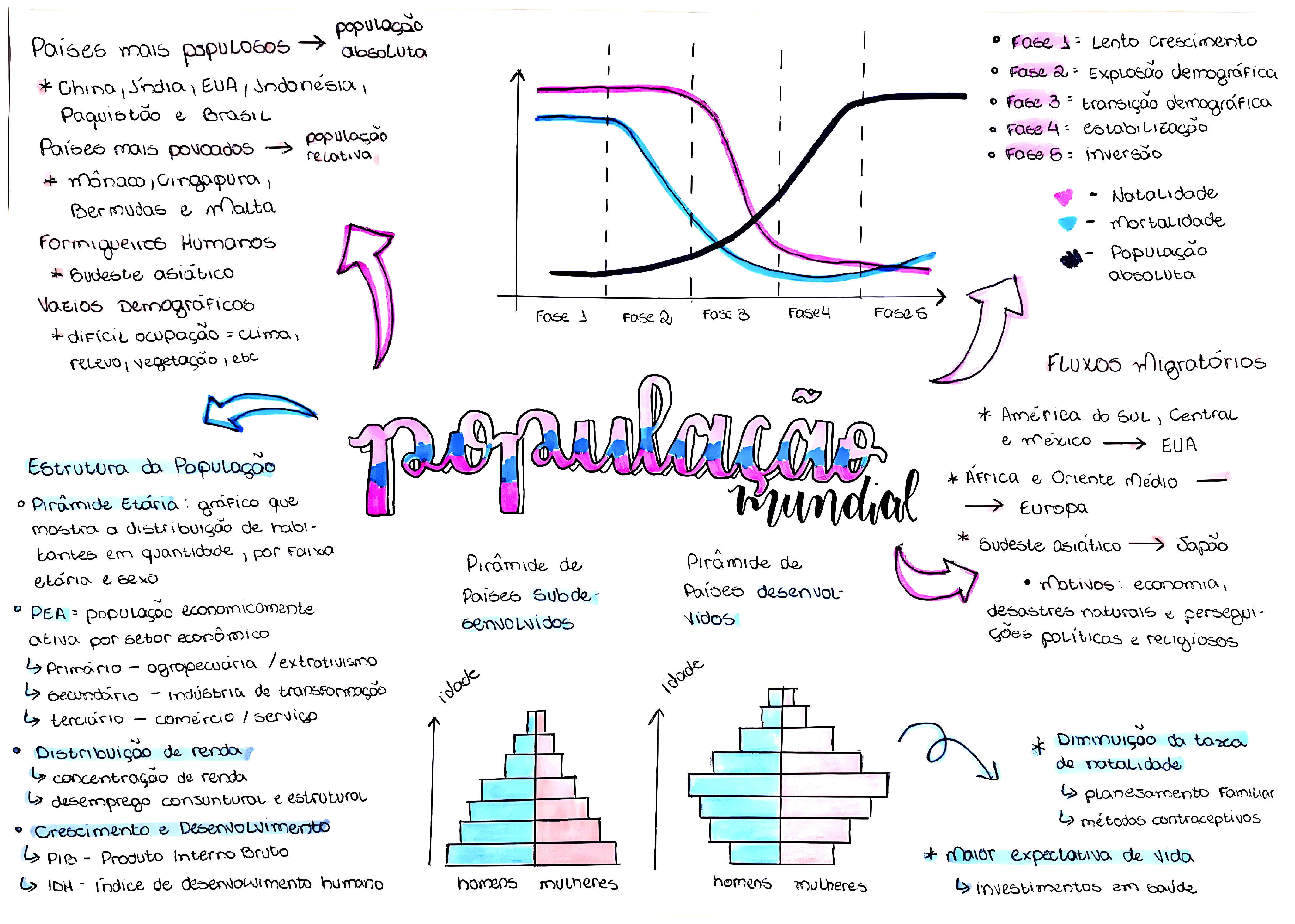 MAPA MENTAL SOBRE POPULAÇÃO