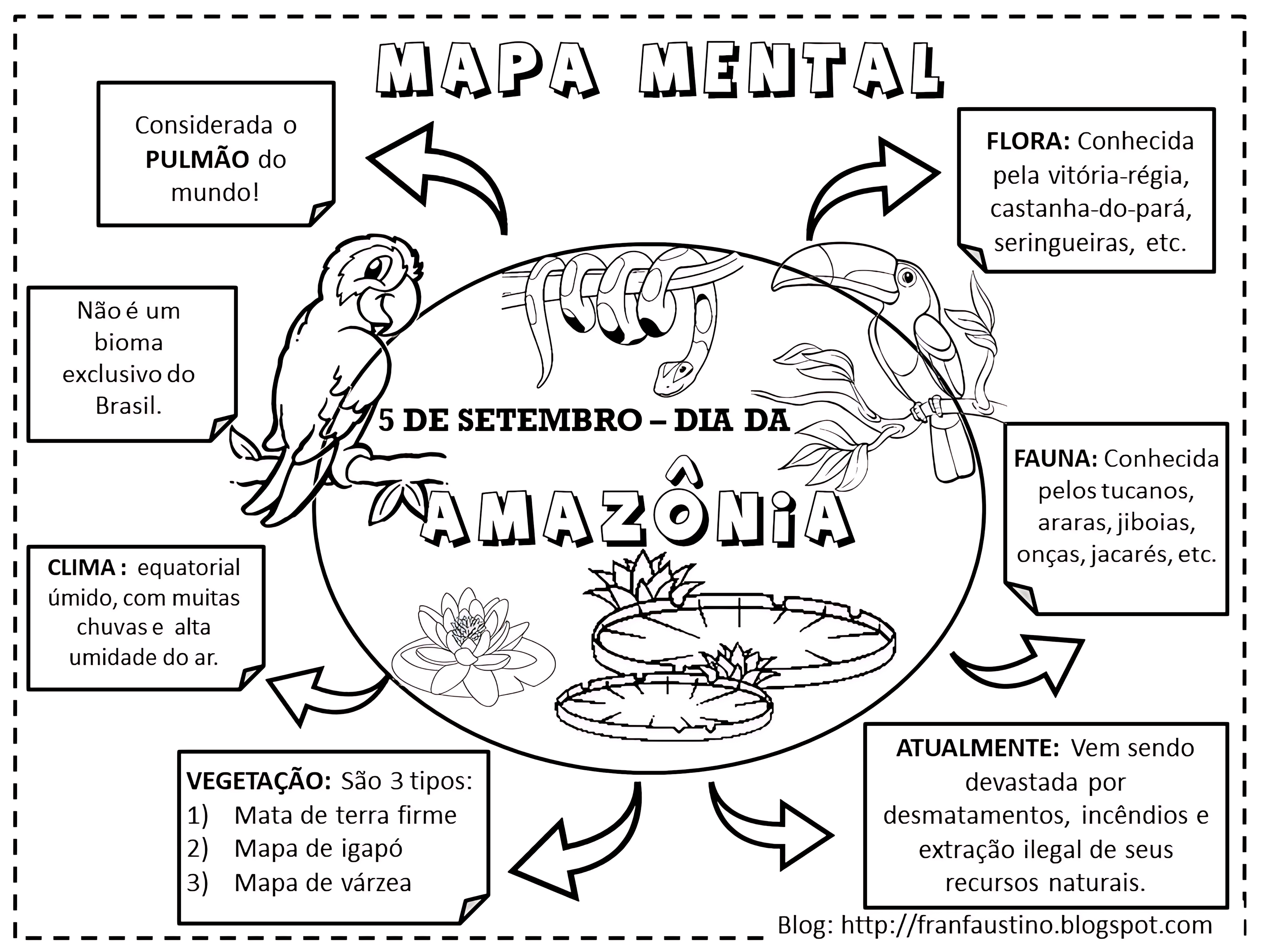 MAPA MENTAL SOBRE FLORESTA AMAZÔNICA
