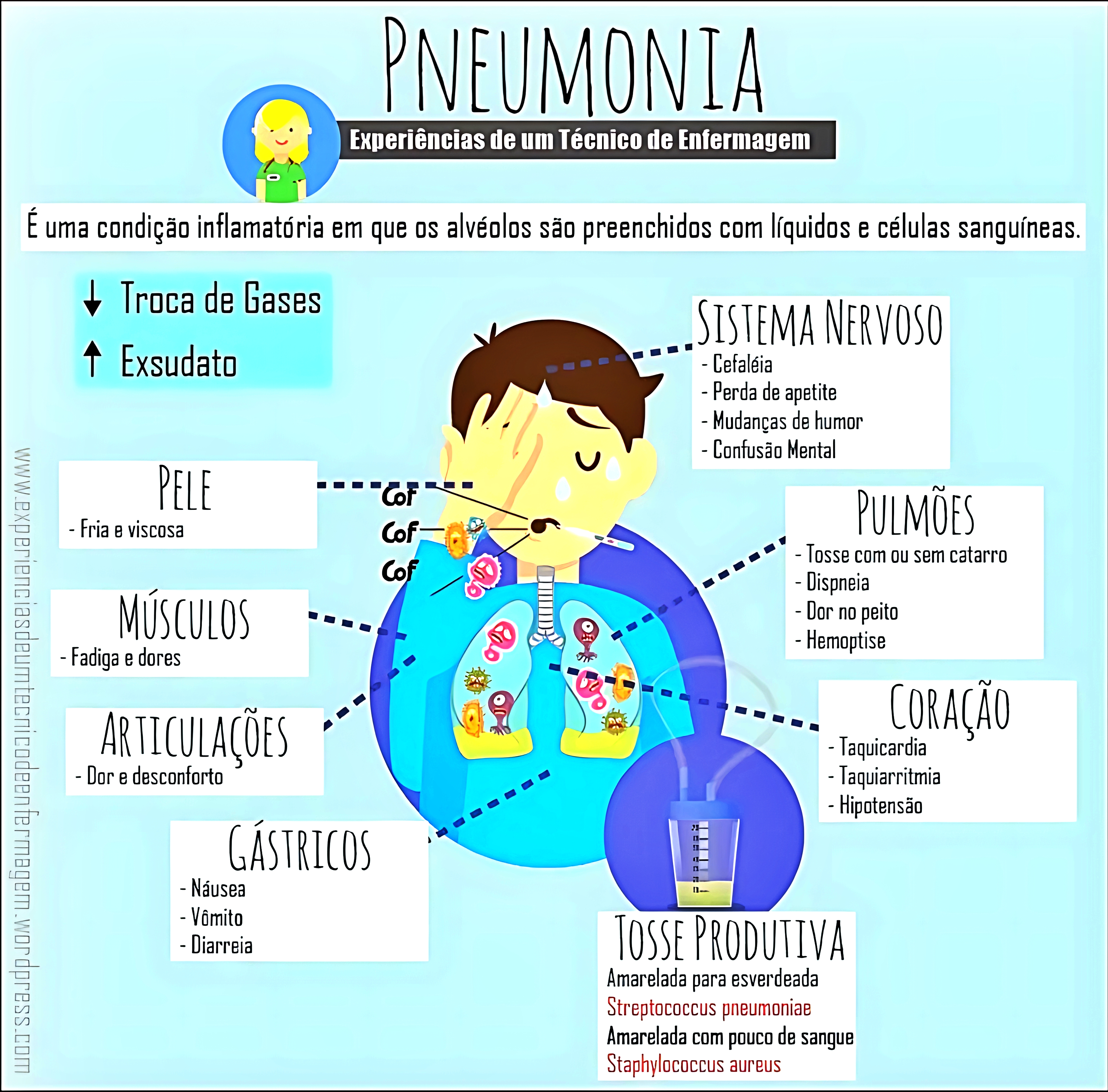MAPA MENTAL SOBRE PNEUMONIA