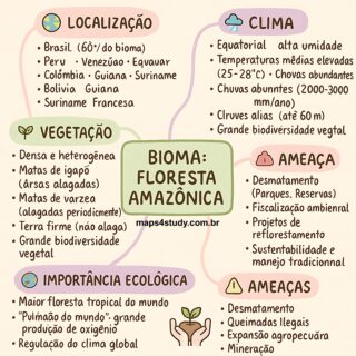 MAPA MENTAL SOBRE FLORESTA AMAZÔNICA - Maps4Study