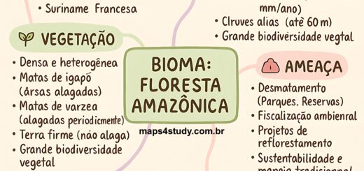 MAPA MENTAL SOBRE FLORESTA AMAZÔNICA