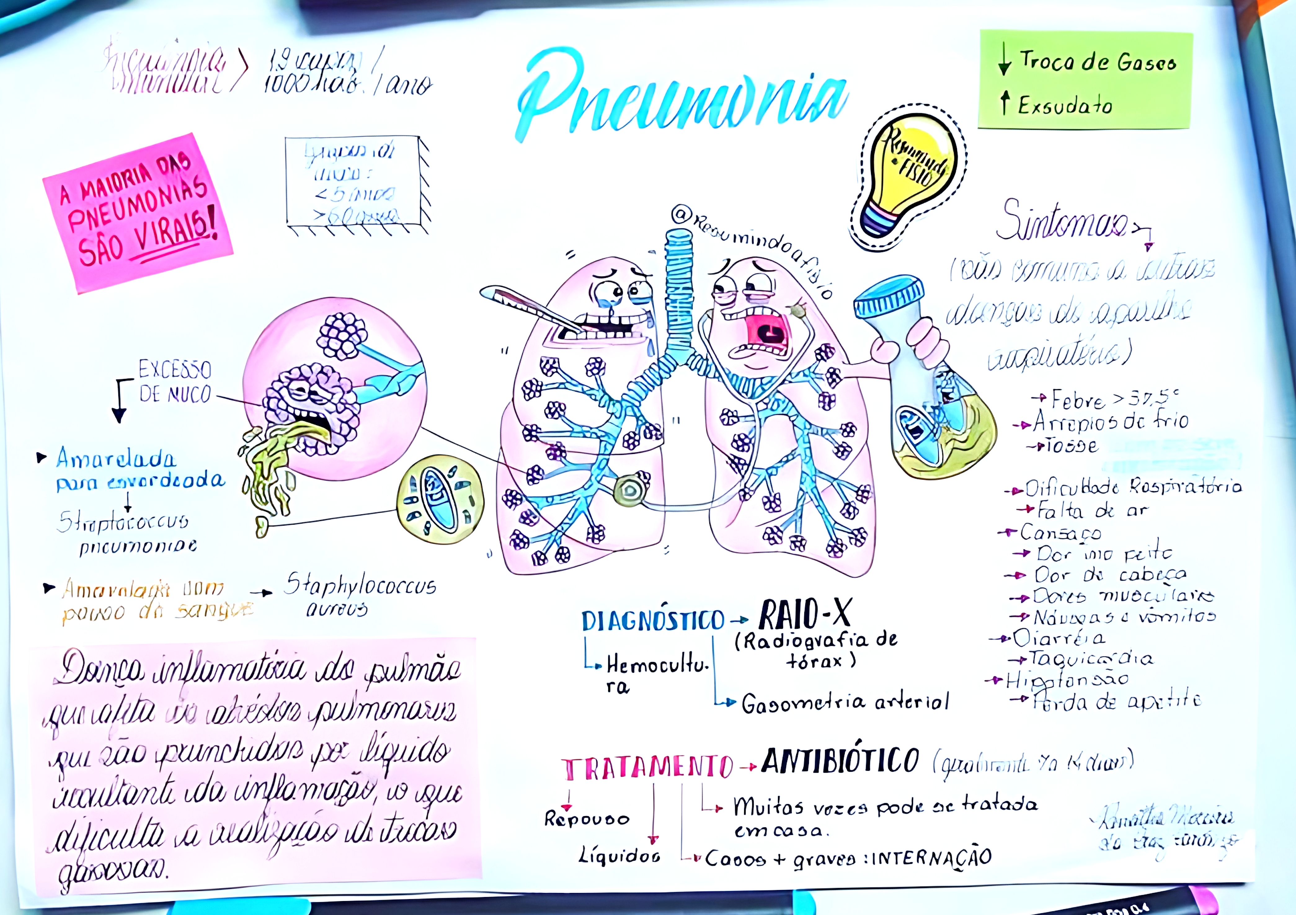MAPA MENTAL SOBRE PNEUMONIA