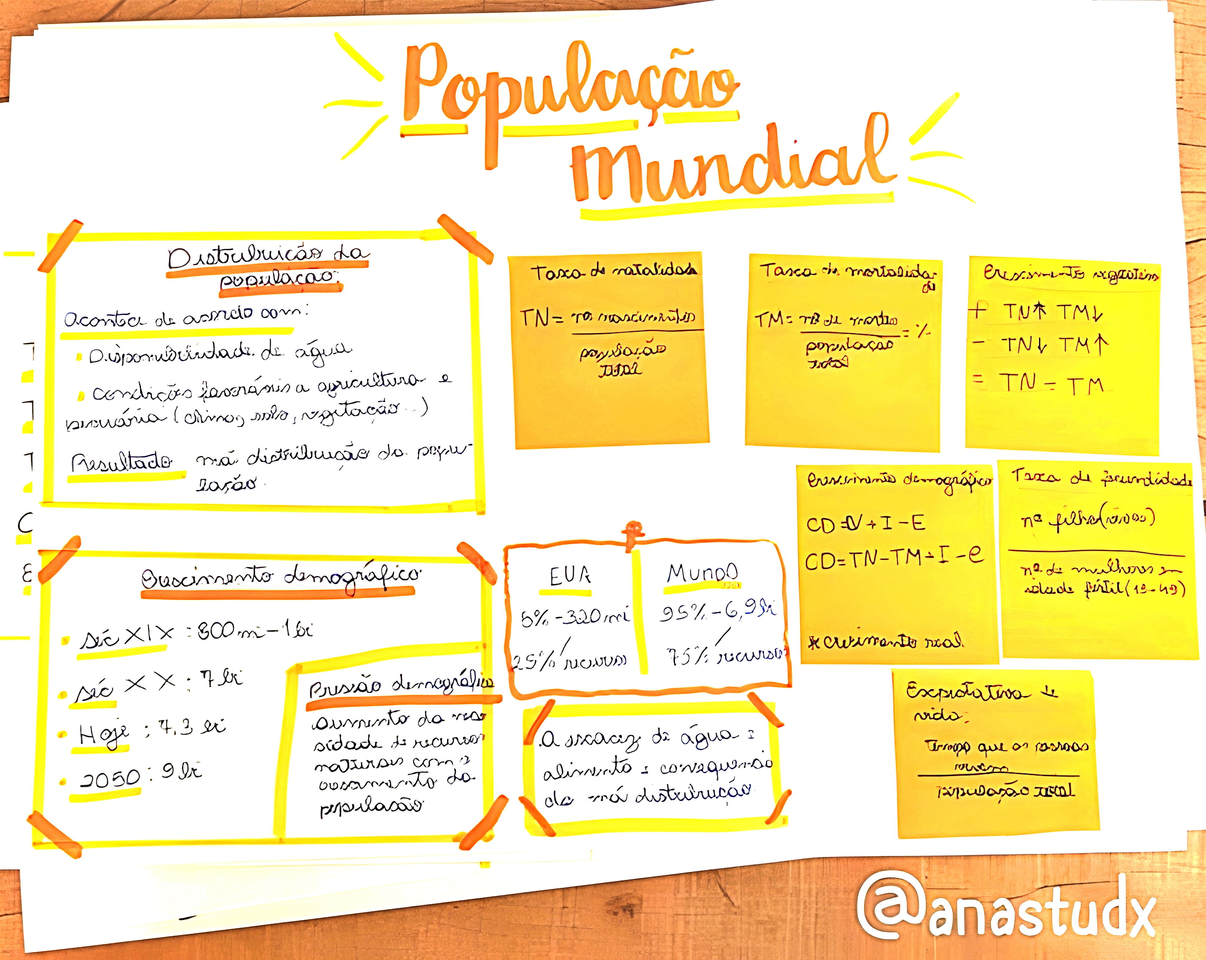 MAPA MENTAL SOBRE POPULAÇÃO