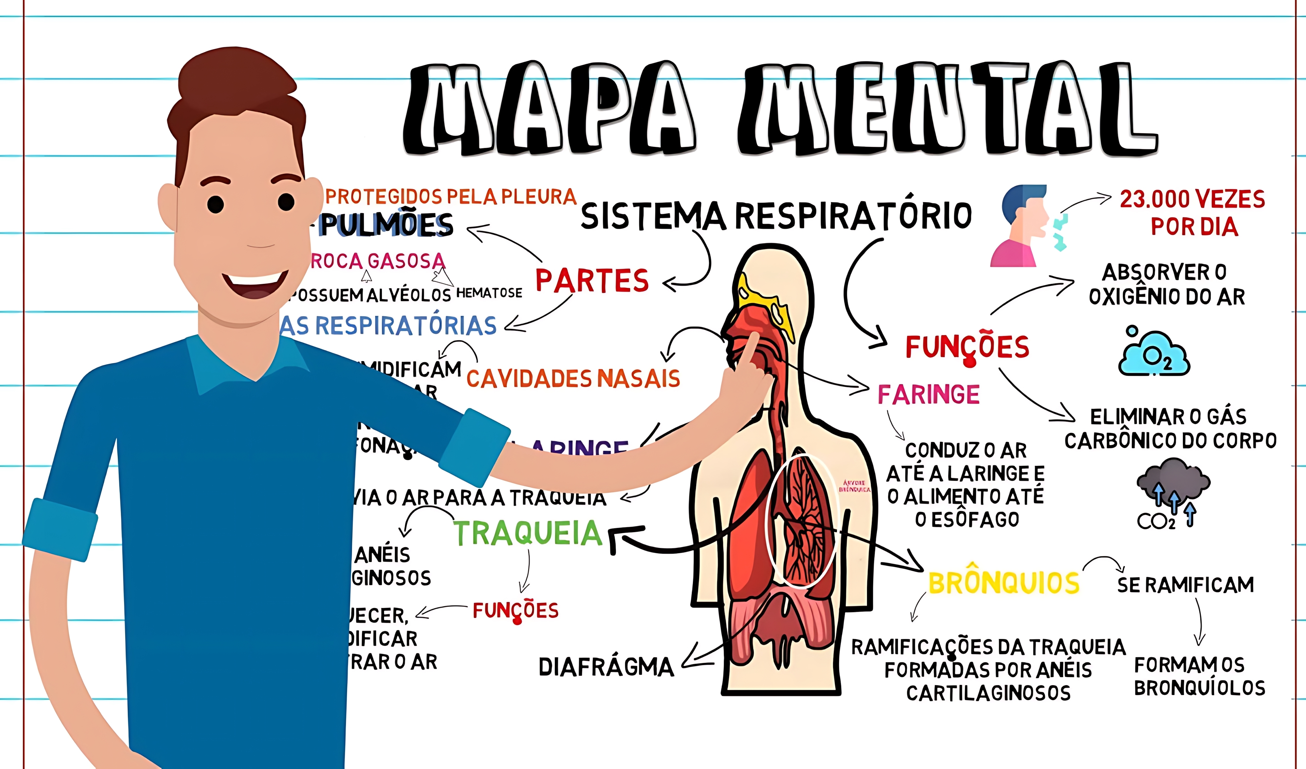 MAPA MENTAL SOBRE DOENÇAS RESPIRATÓRIAS