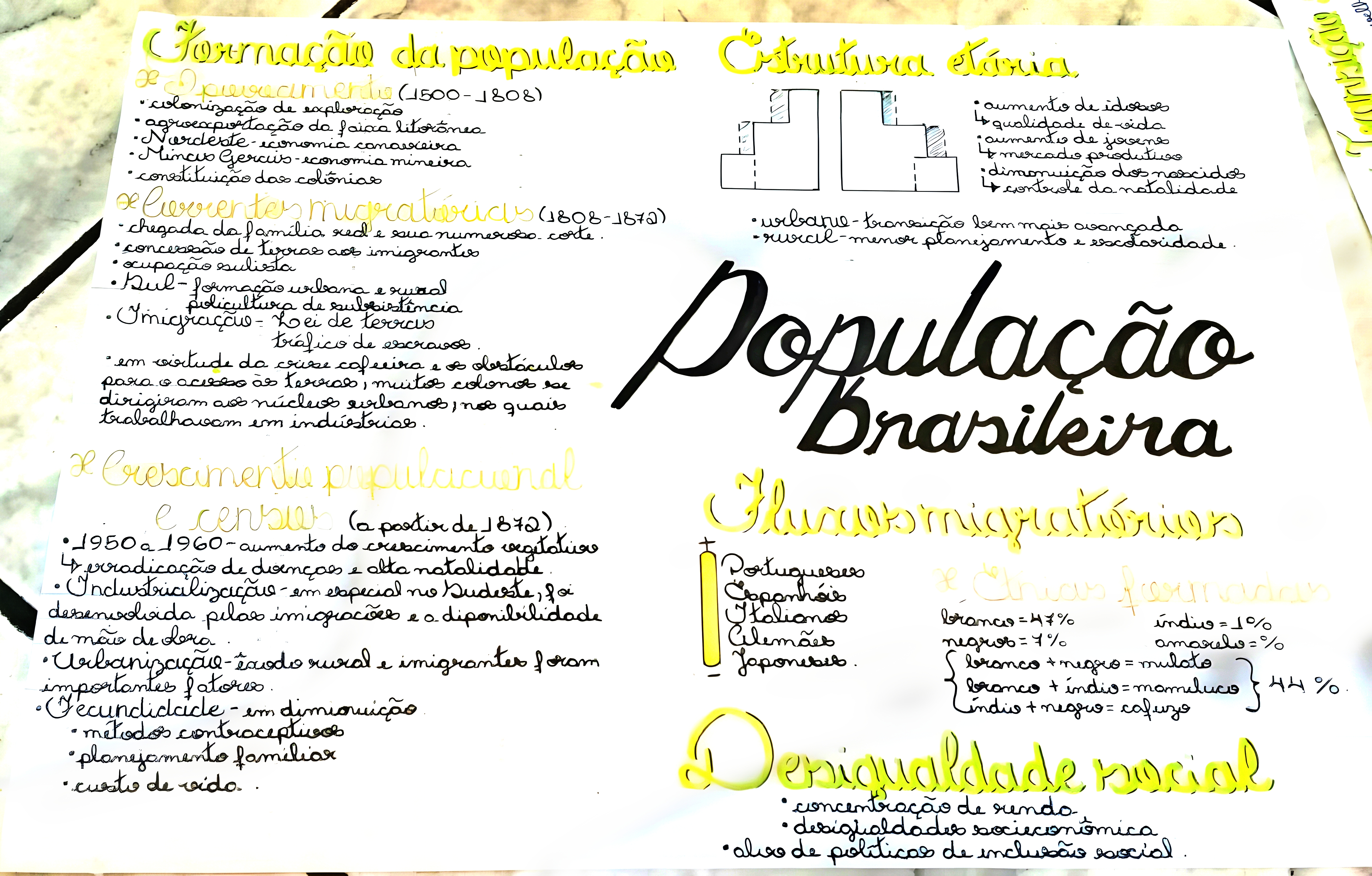 MAPA MENTAL SOBRE POPULAÇÃO