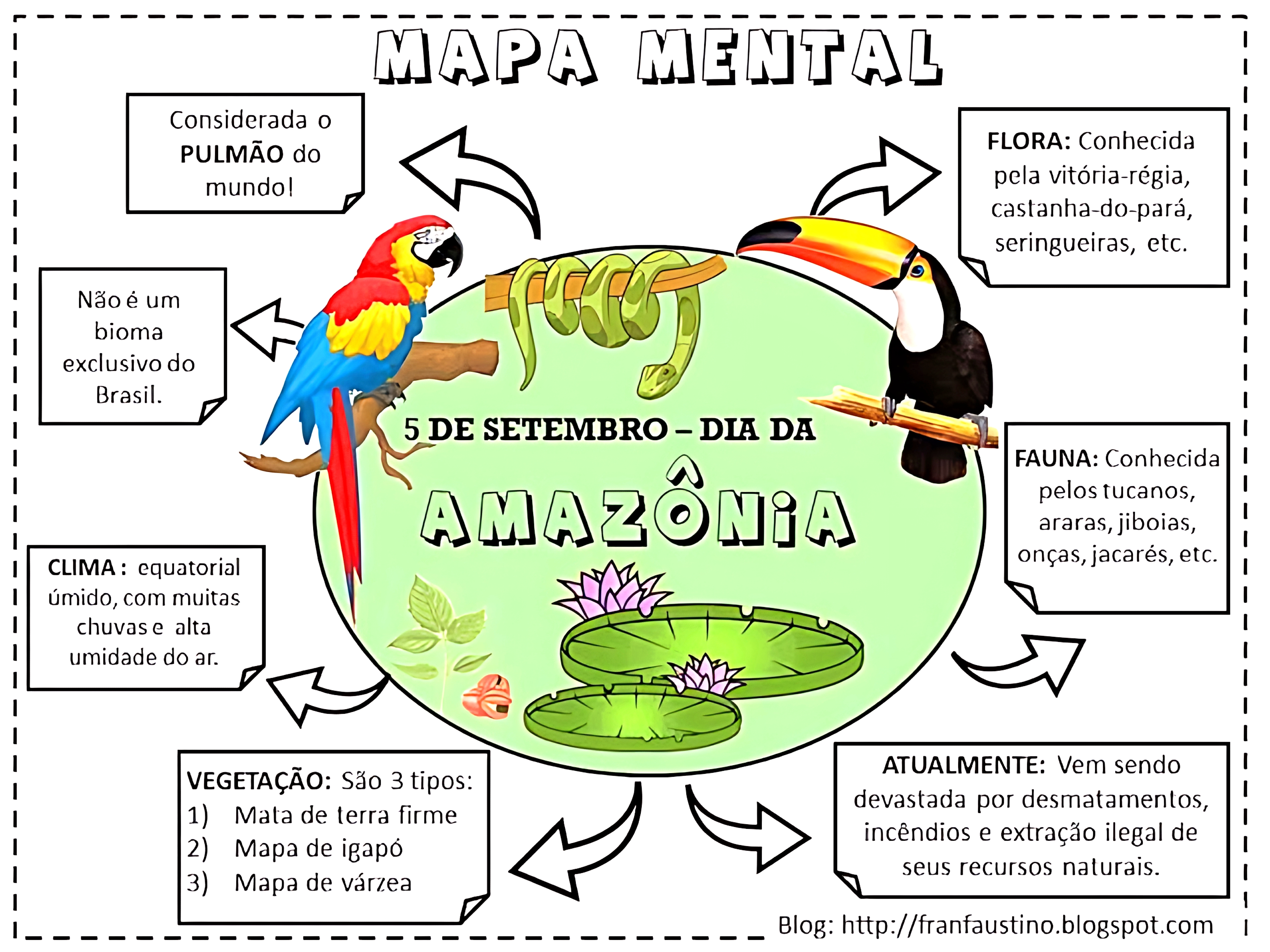 MAPA MENTAL SOBRE FLORESTA AMAZÔNICA