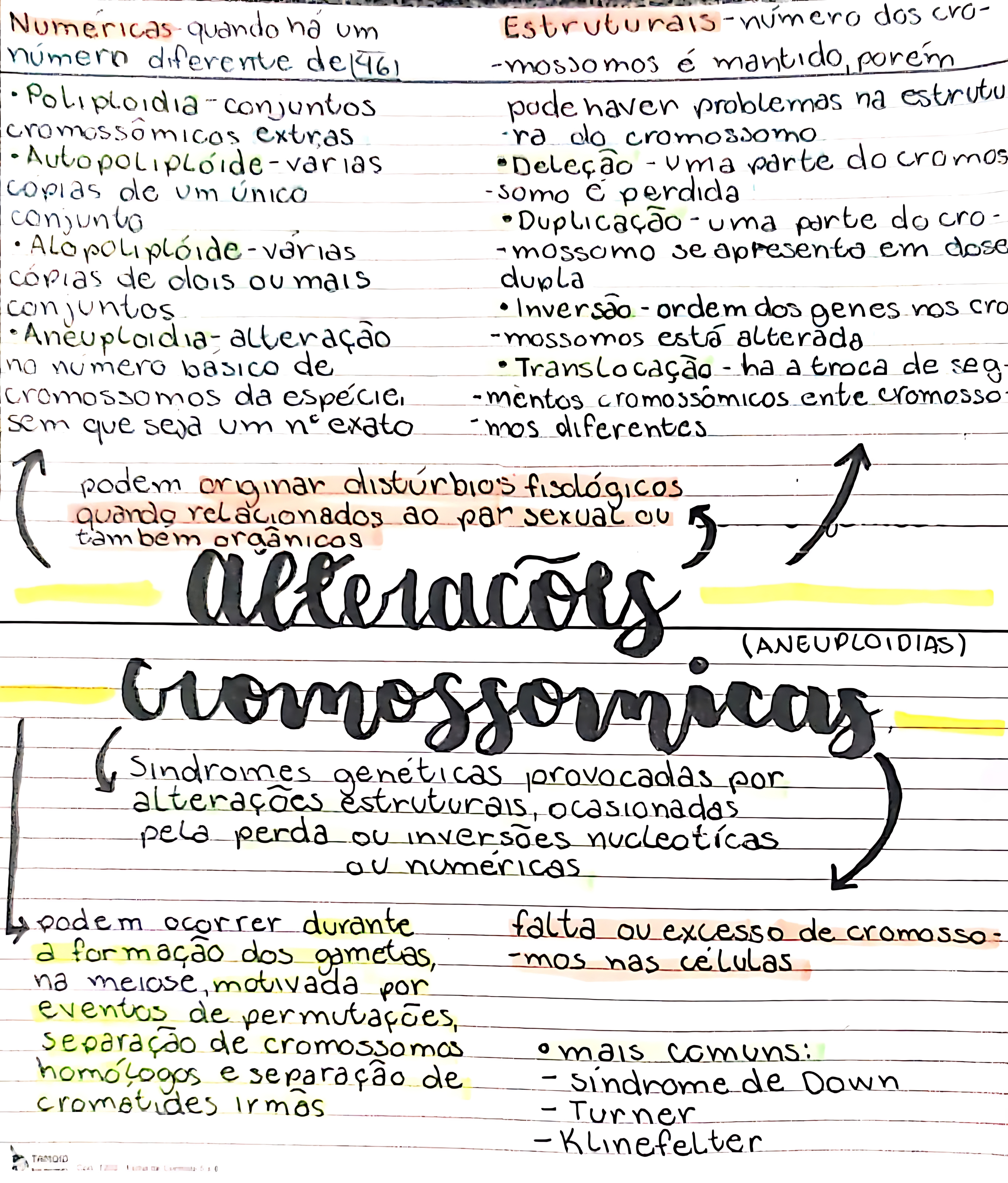 MAPA MENTAL SOBRE ALTERAÇÕES CROMOSSOMICAS