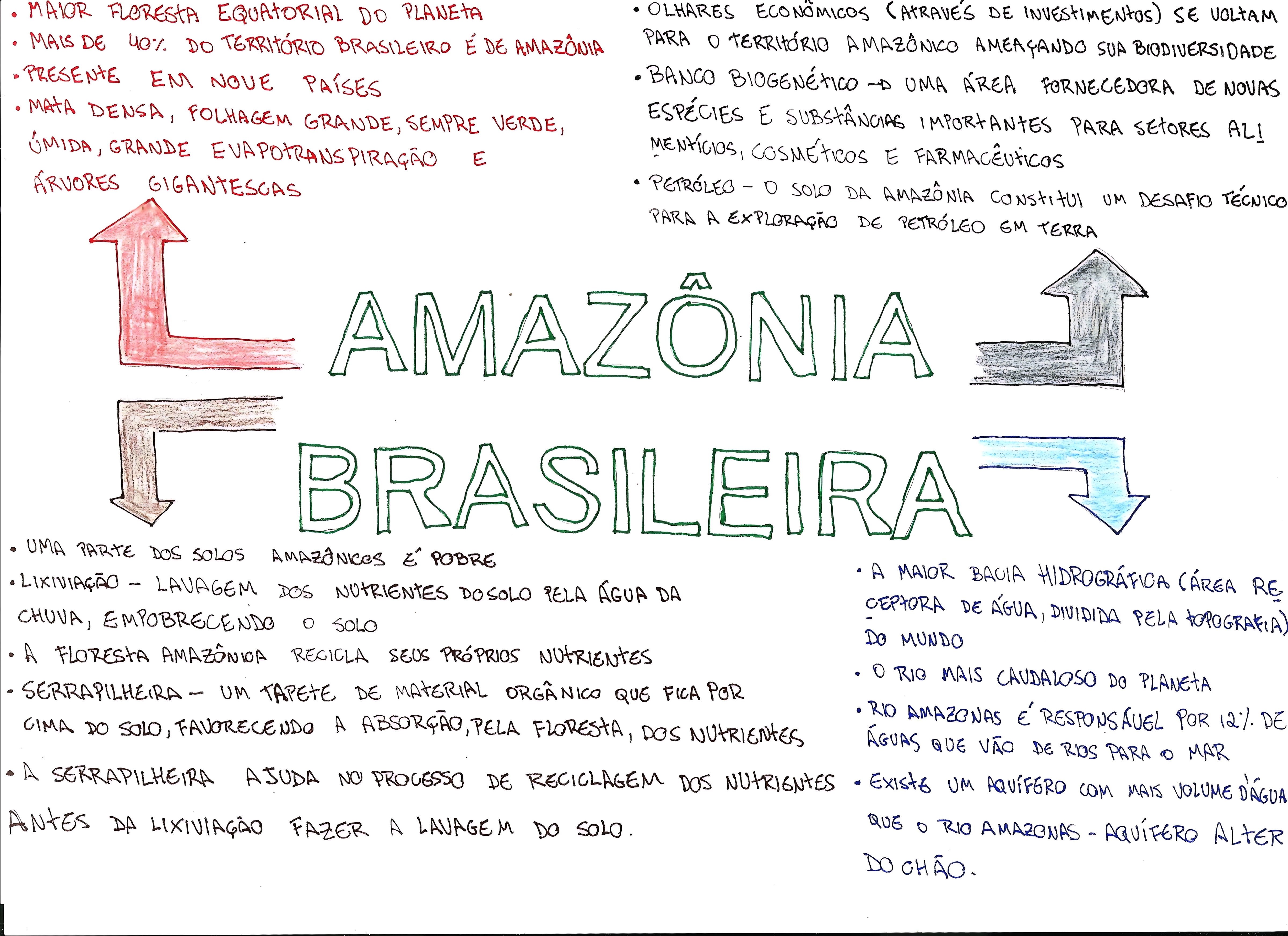 MAPA MENTAL SOBRE FLORESTA AMAZÔNICA