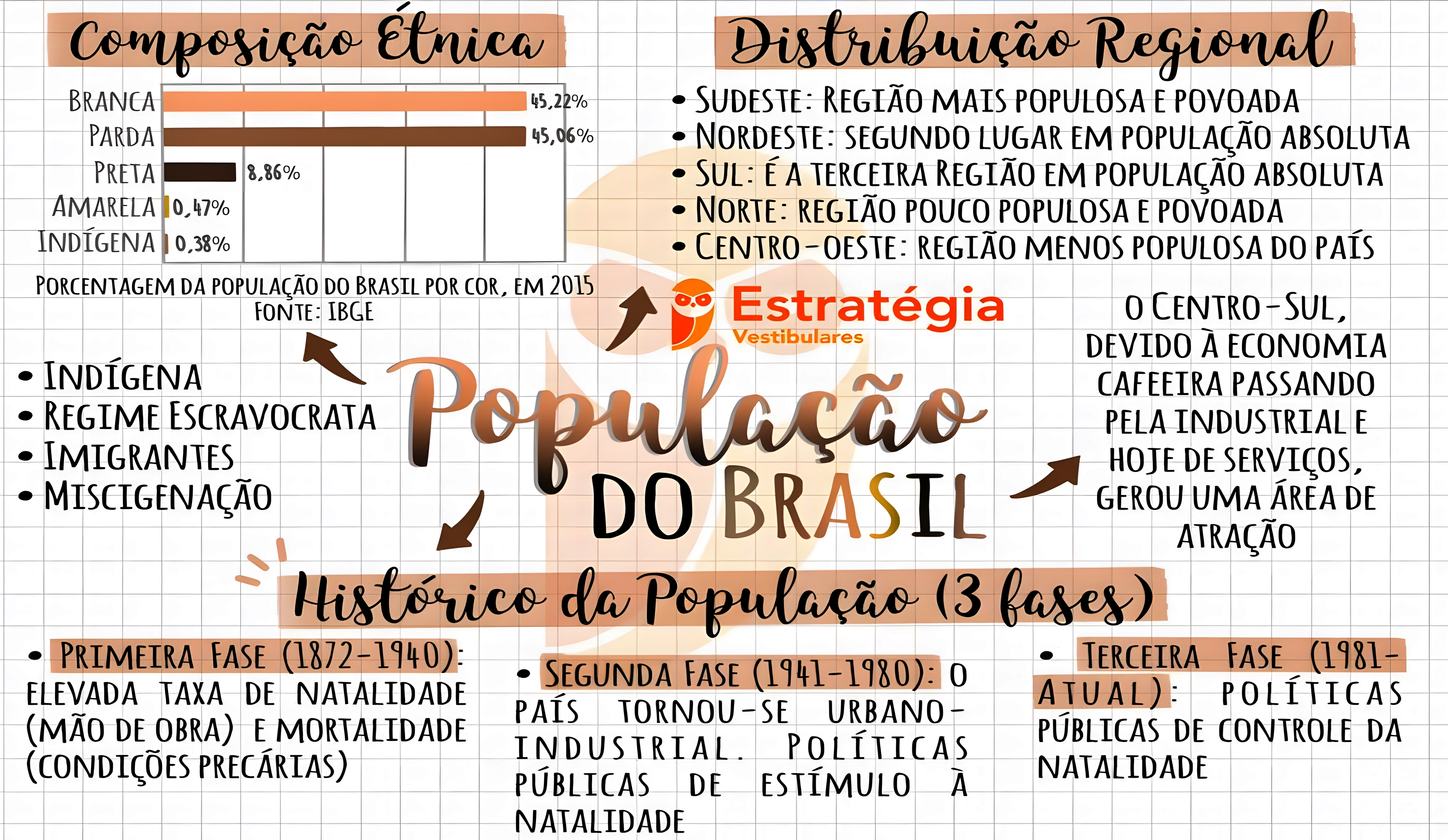 MAPA MENTAL SOBRE POPULAÇÃO