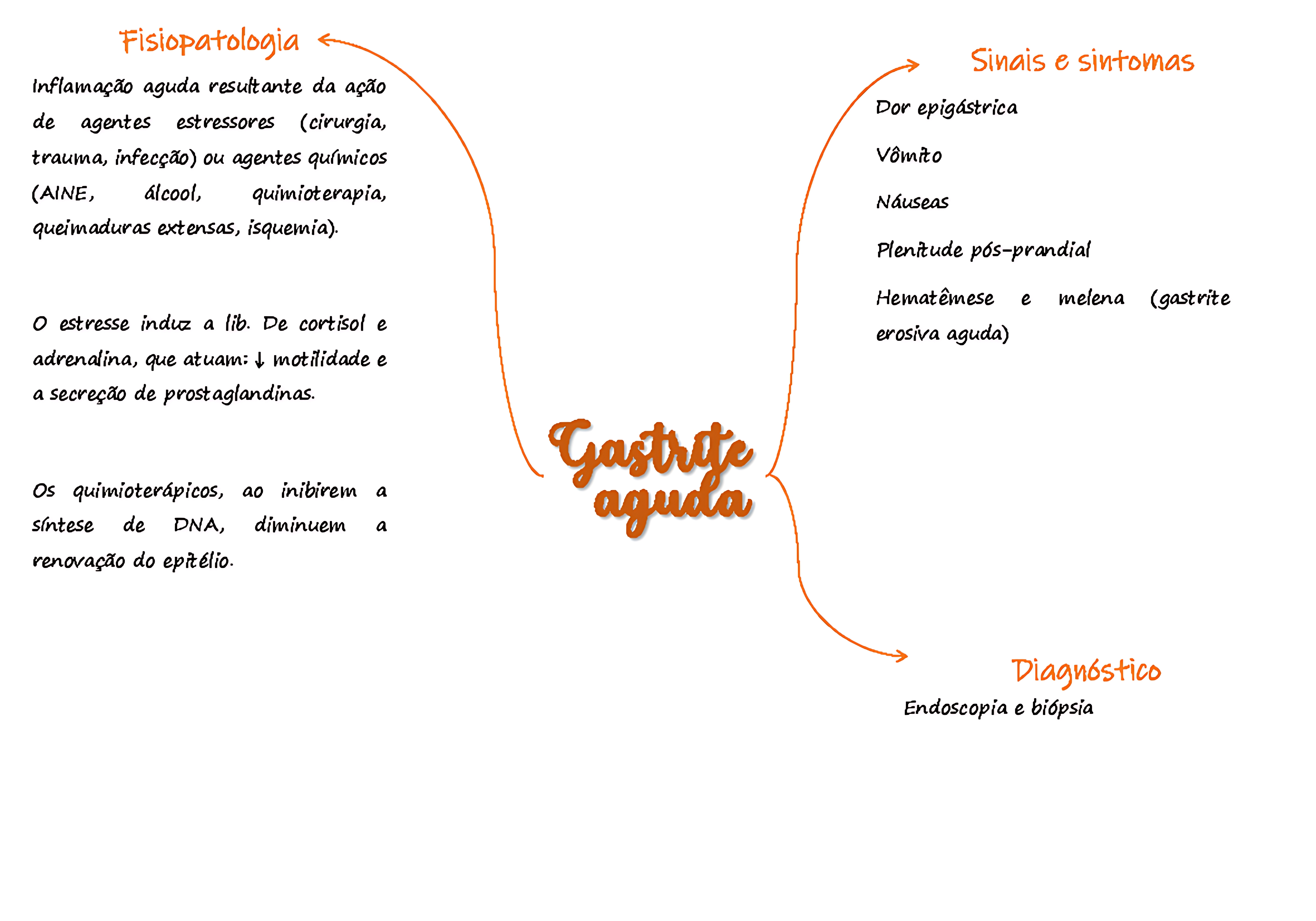 MAPA MENTAL SOBRE GASTRITE