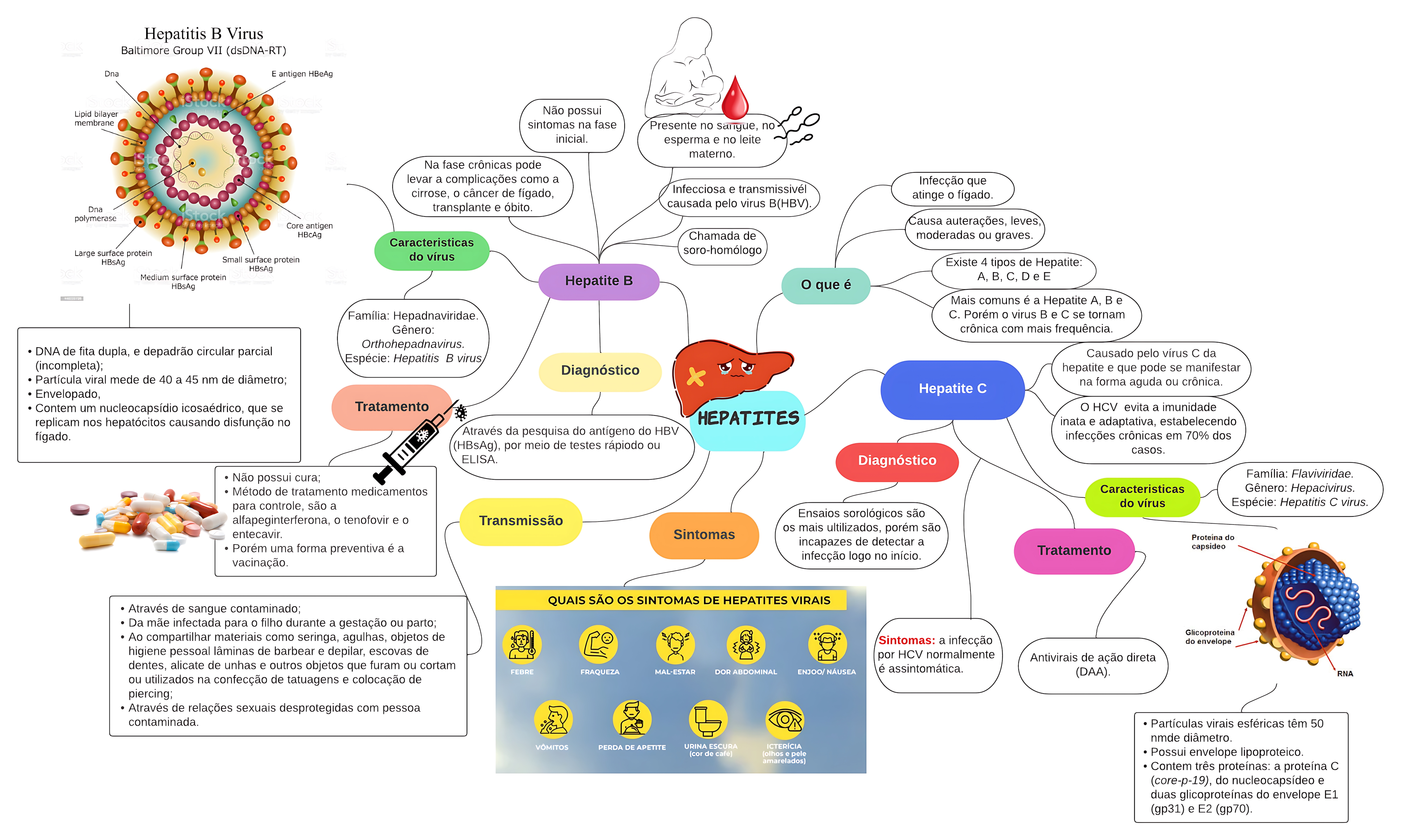 MAPA MENTAL SOBRE HEPATITE