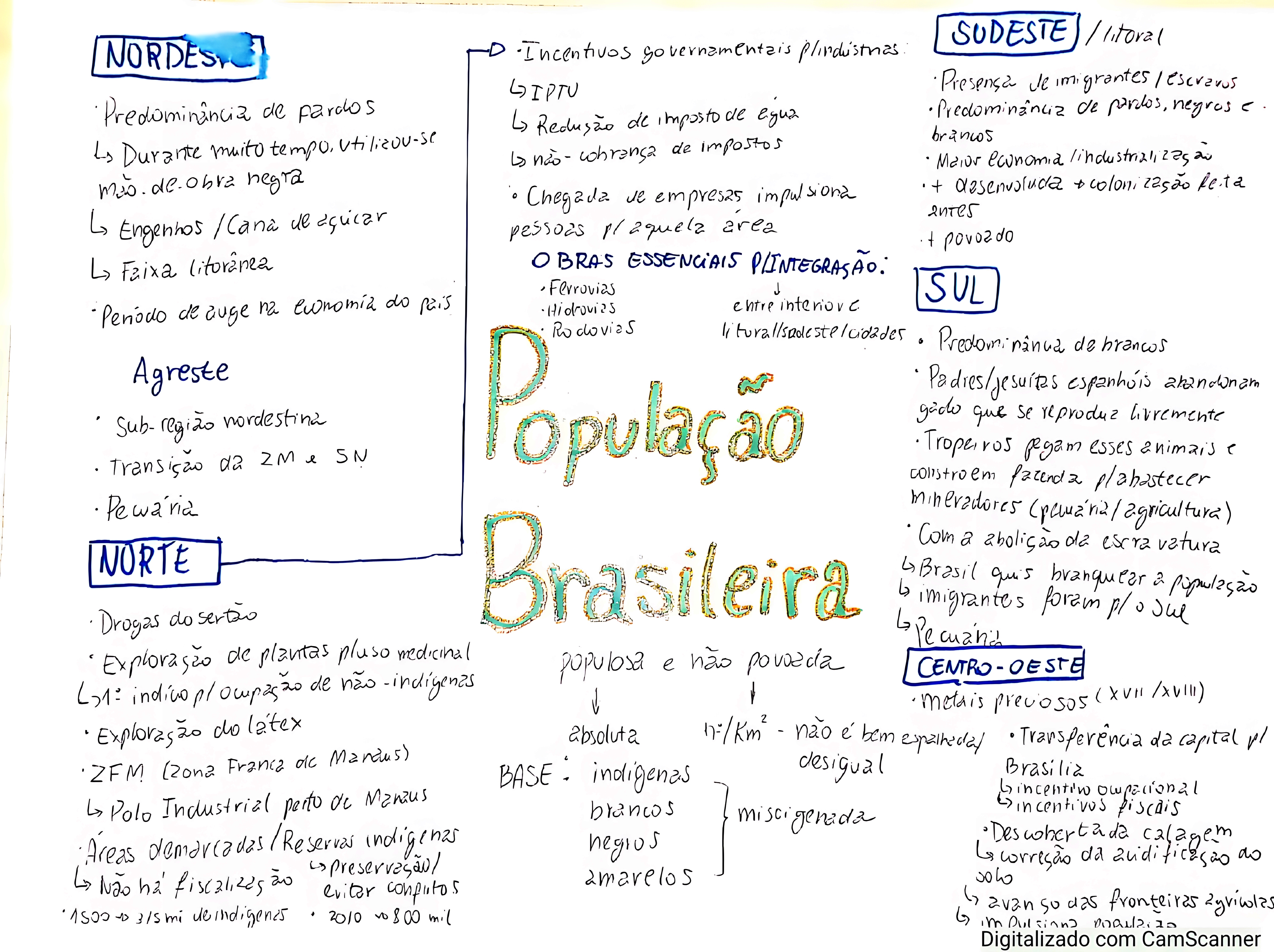 MAPA MENTAL SOBRE POPULAÇÃO