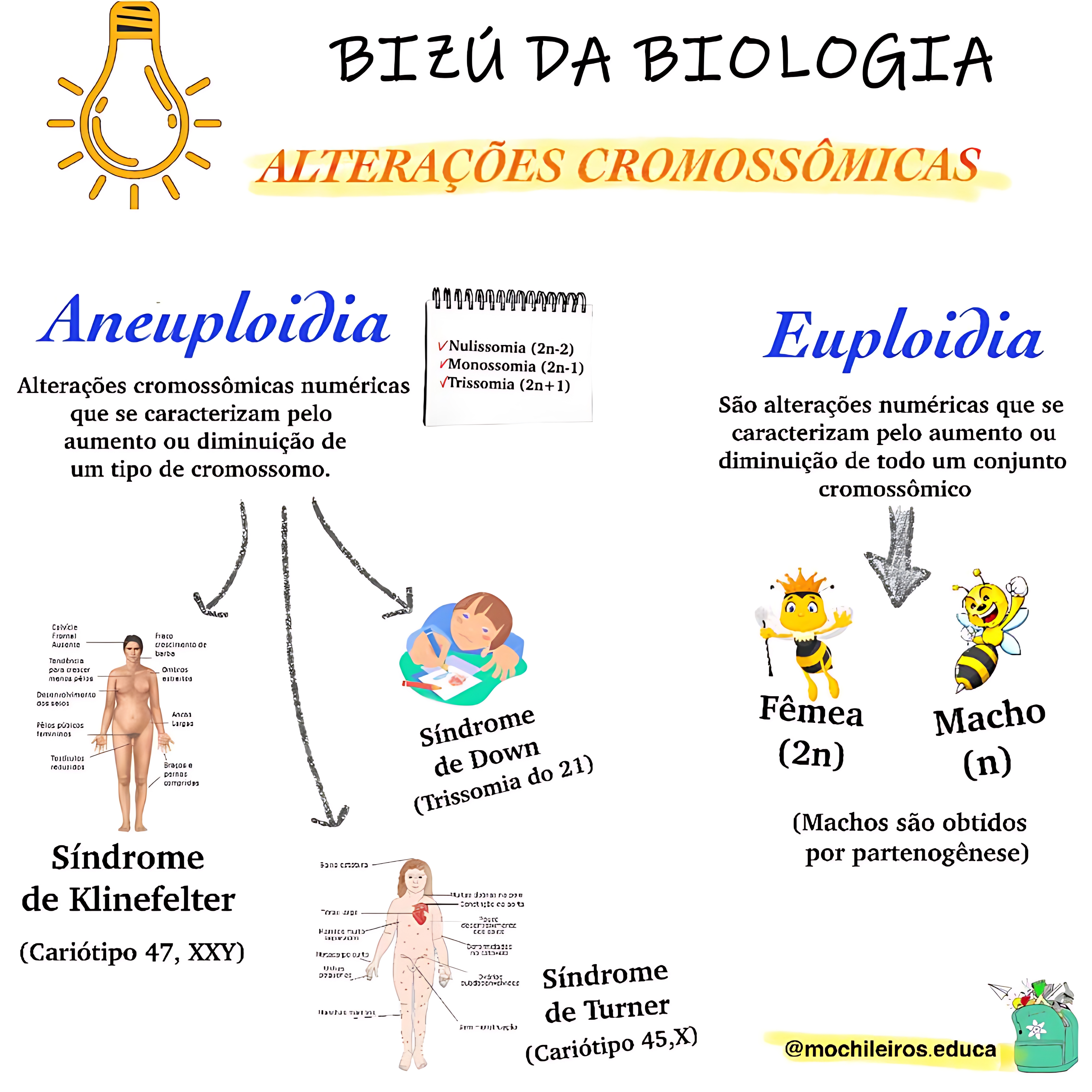 MAPA MENTAL SOBRE ALTERAÇÕES CROMOSSOMICAS