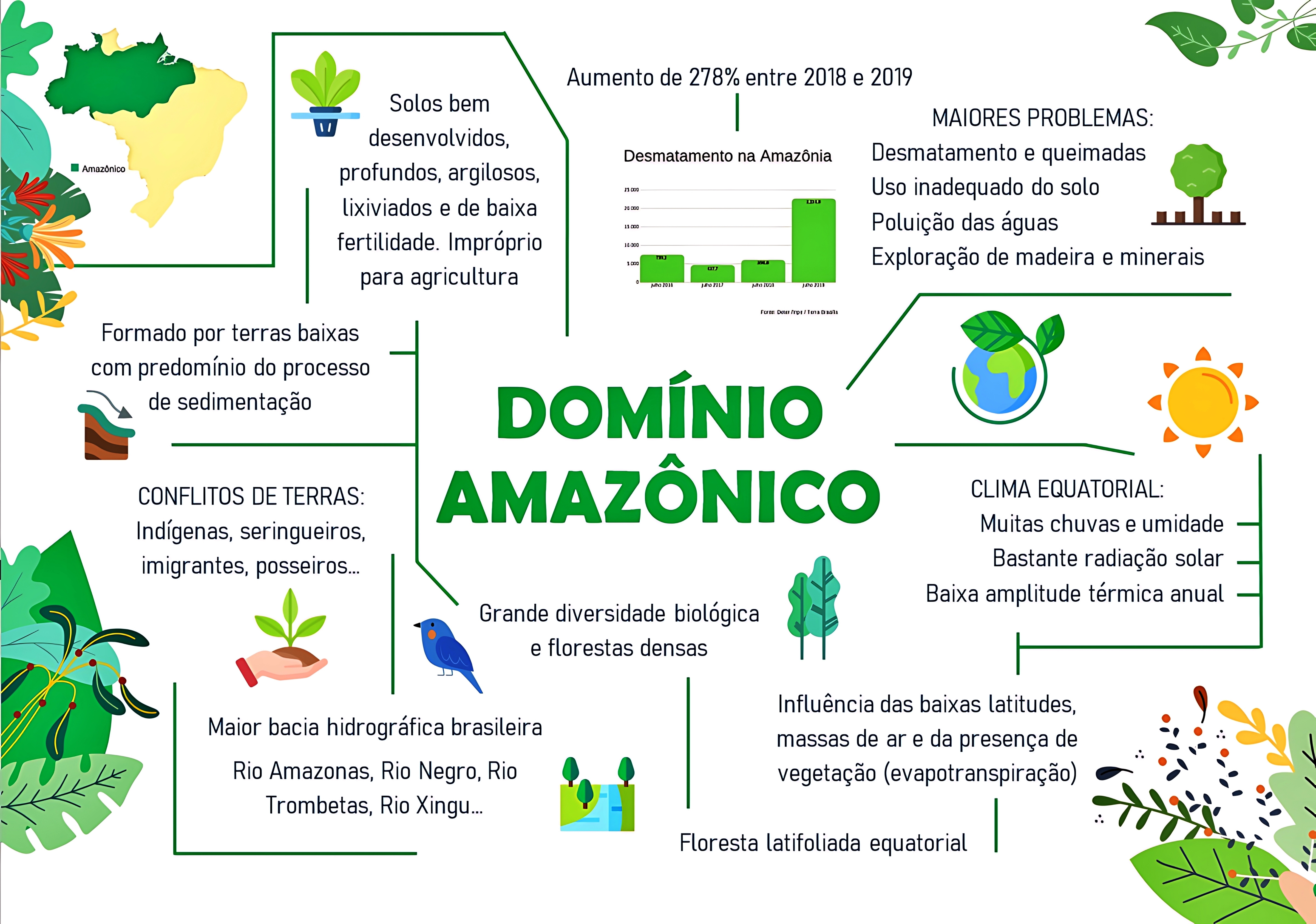 MAPA MENTAL SOBRE FLORESTA AMAZÔNICA