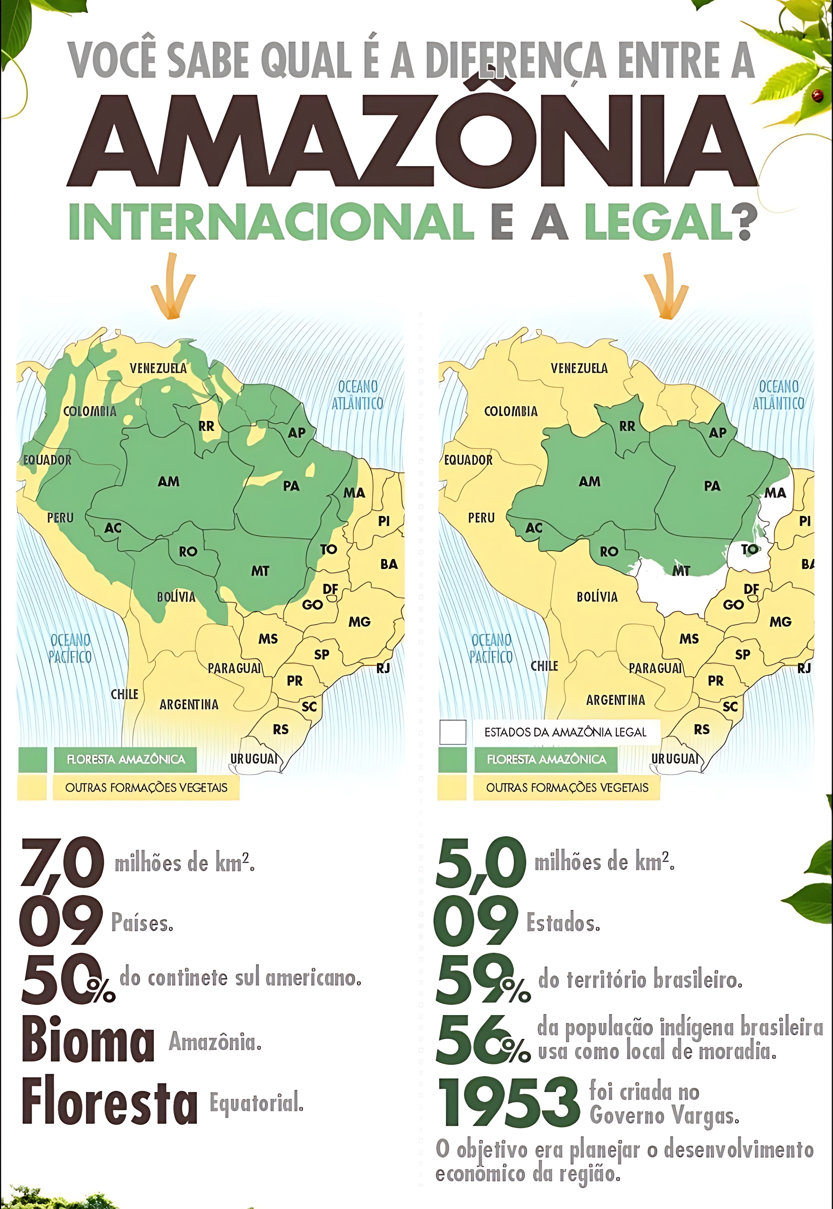 MAPA MENTAL SOBRE FLORESTA AMAZÔNICA
