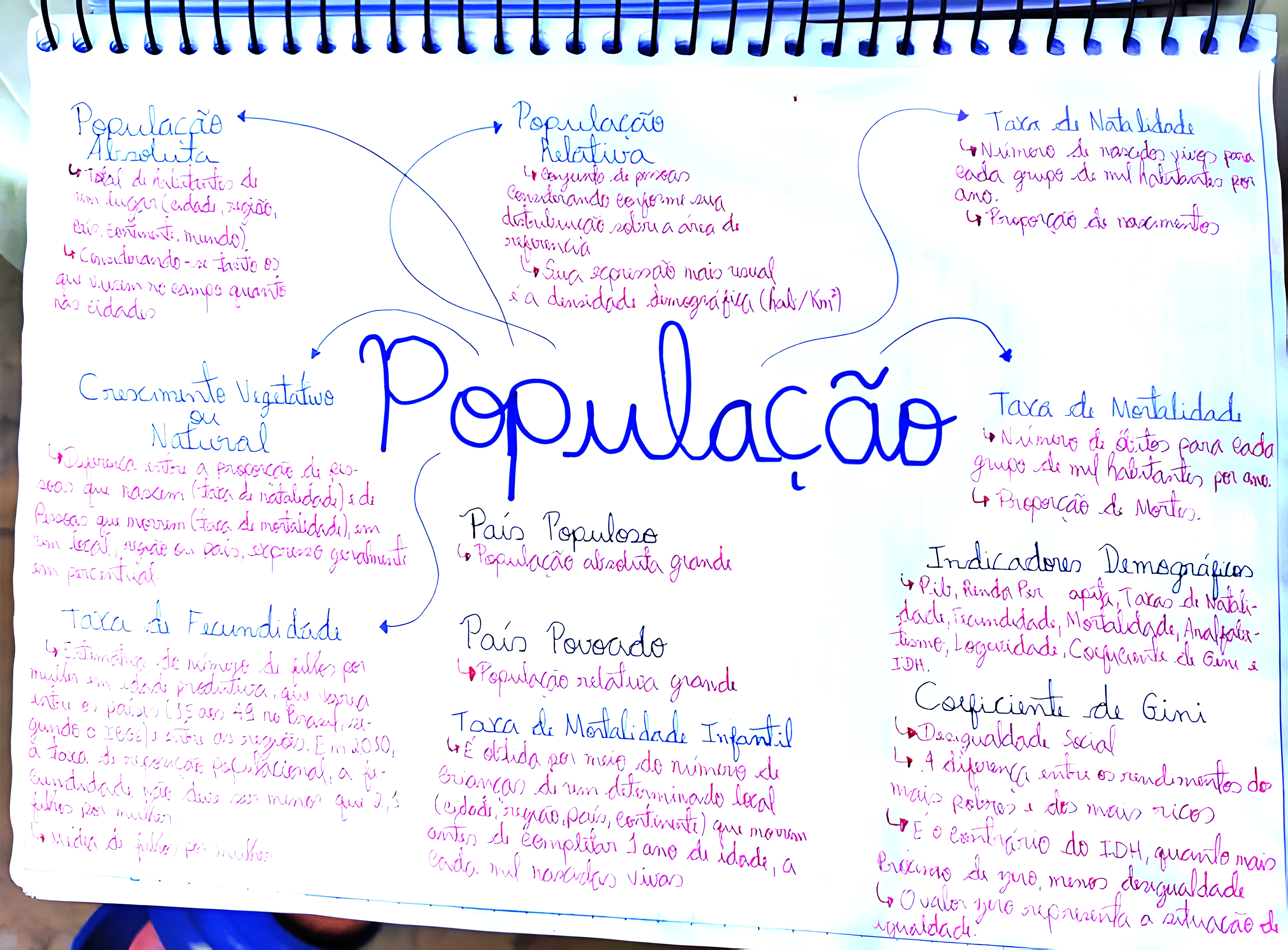 MAPA MENTAL SOBRE POPULAÇÃO