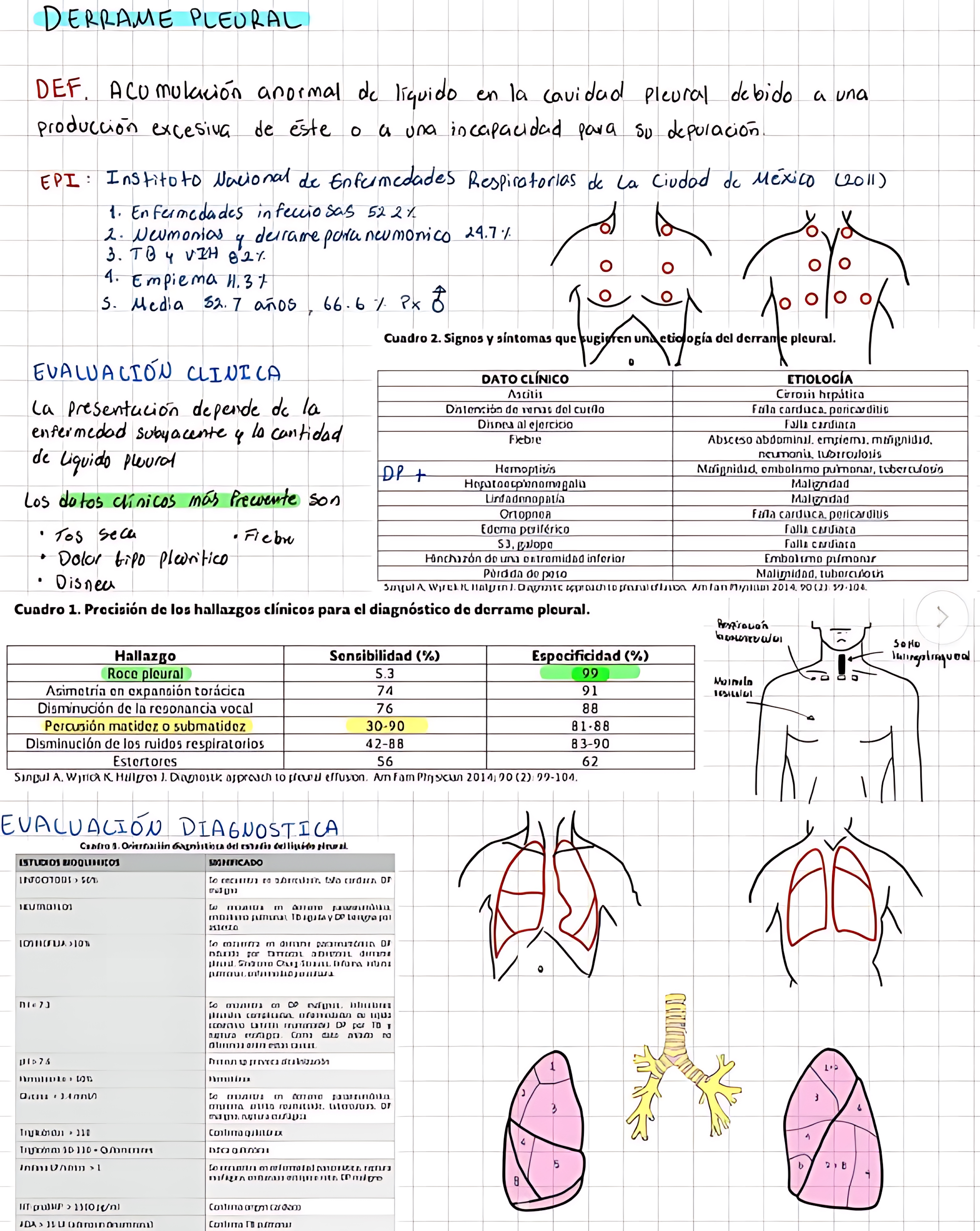 MAPA MENTAL SOBRE DERRAME PLEURAL