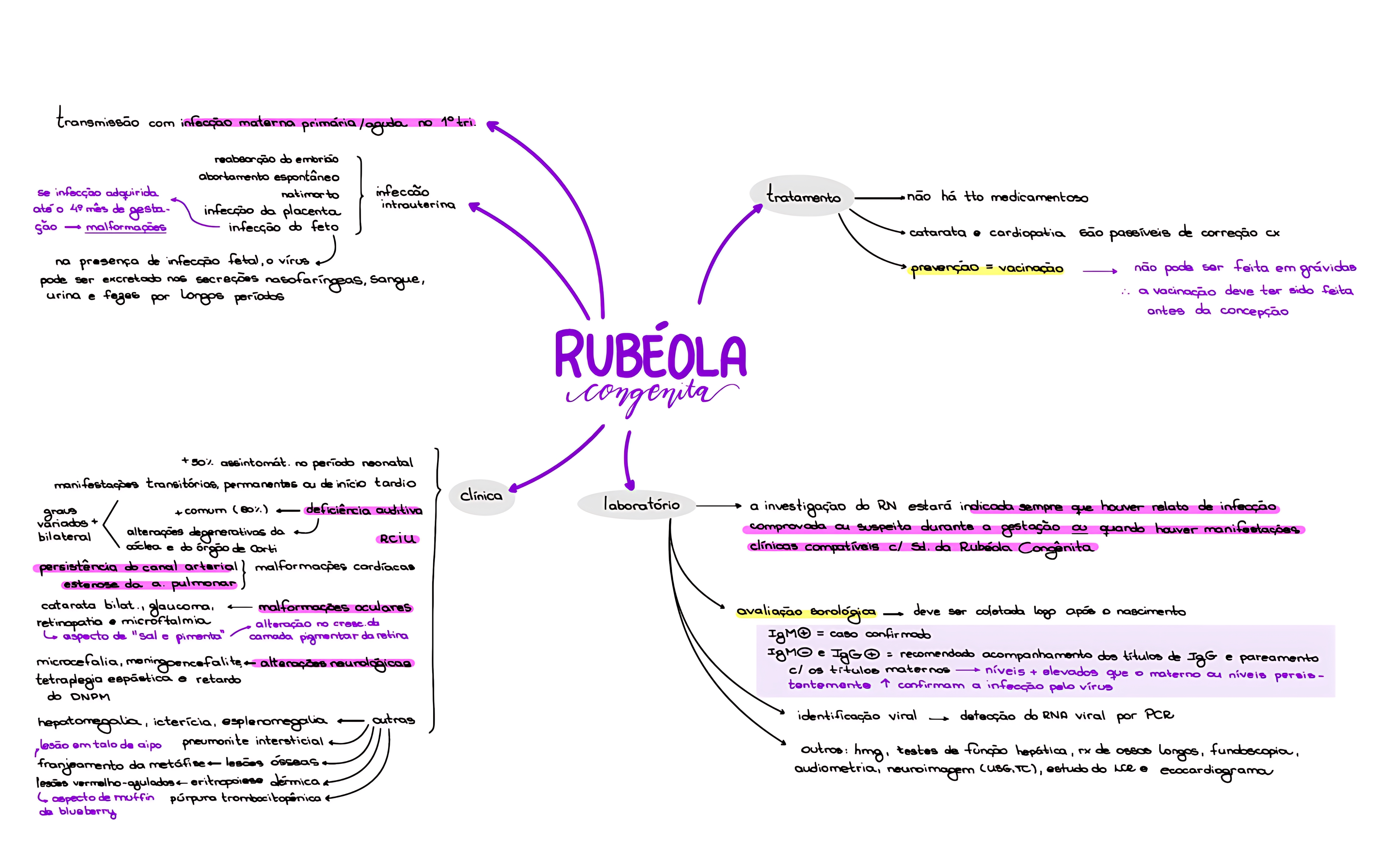 MAPA MENTAL SOBRE RUBÉOLA
