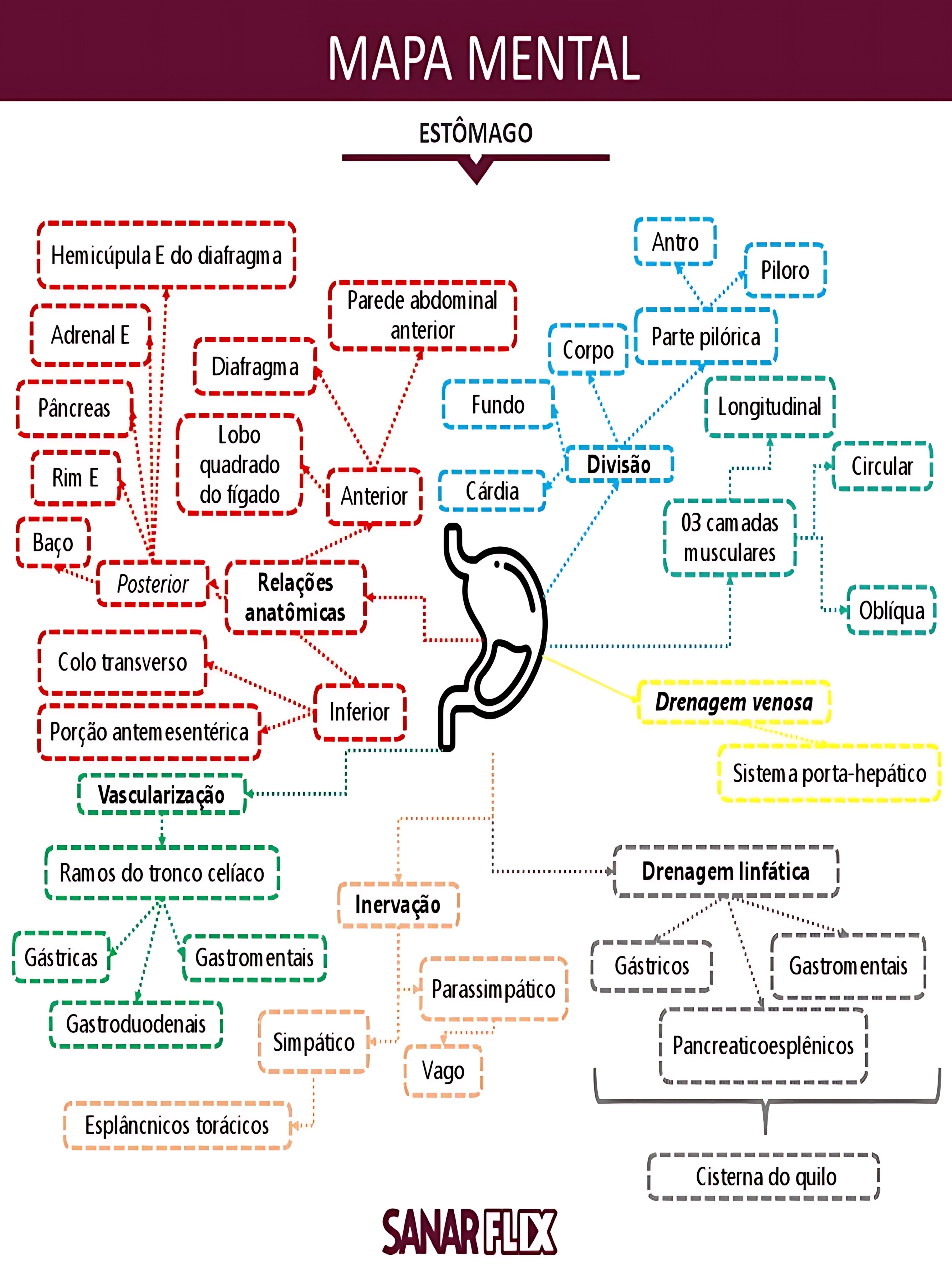 MAPA MENTAL SOBRE ESTÔMAGO