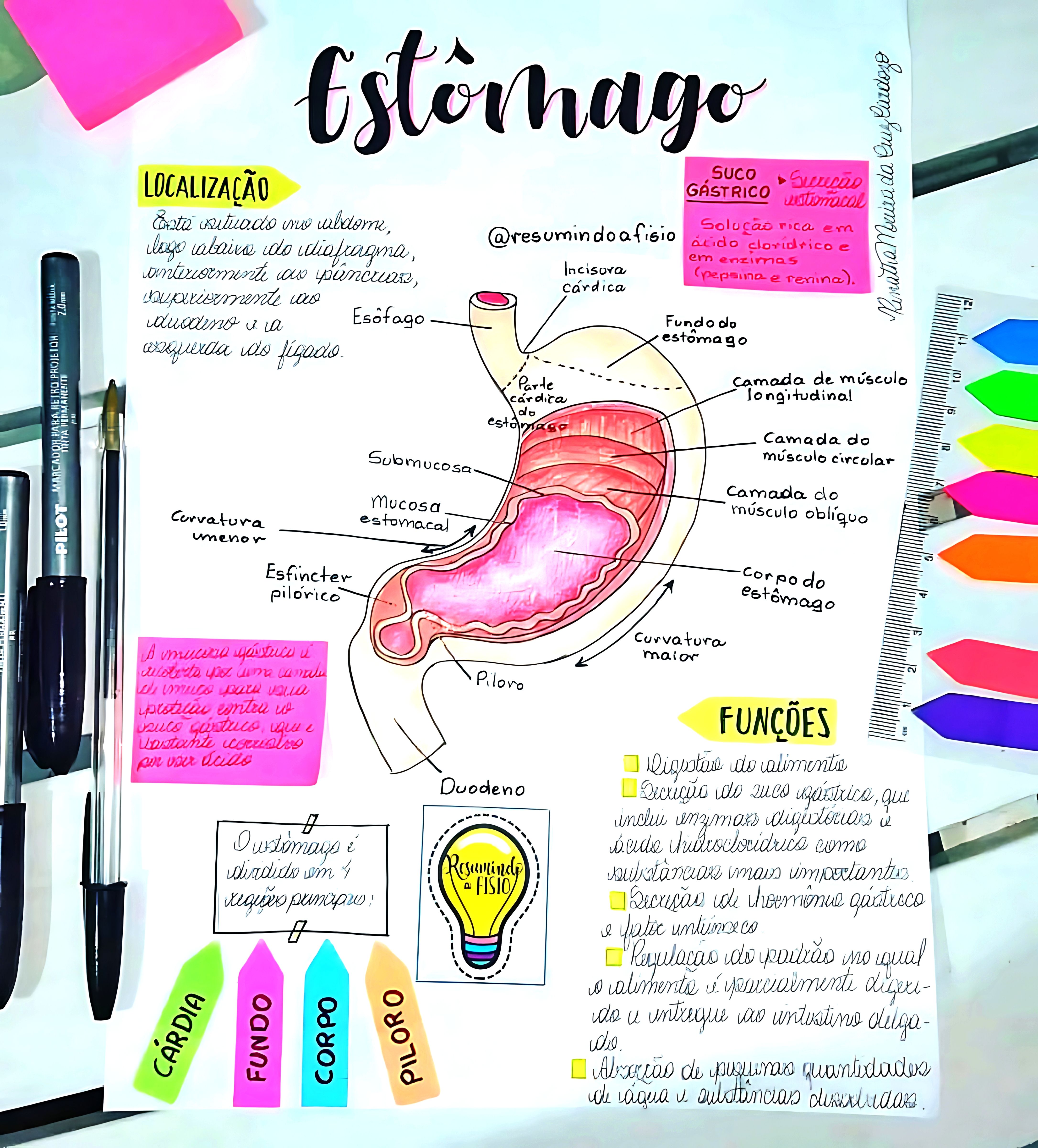 MAPA MENTAL SOBRE ESTÔMAGO