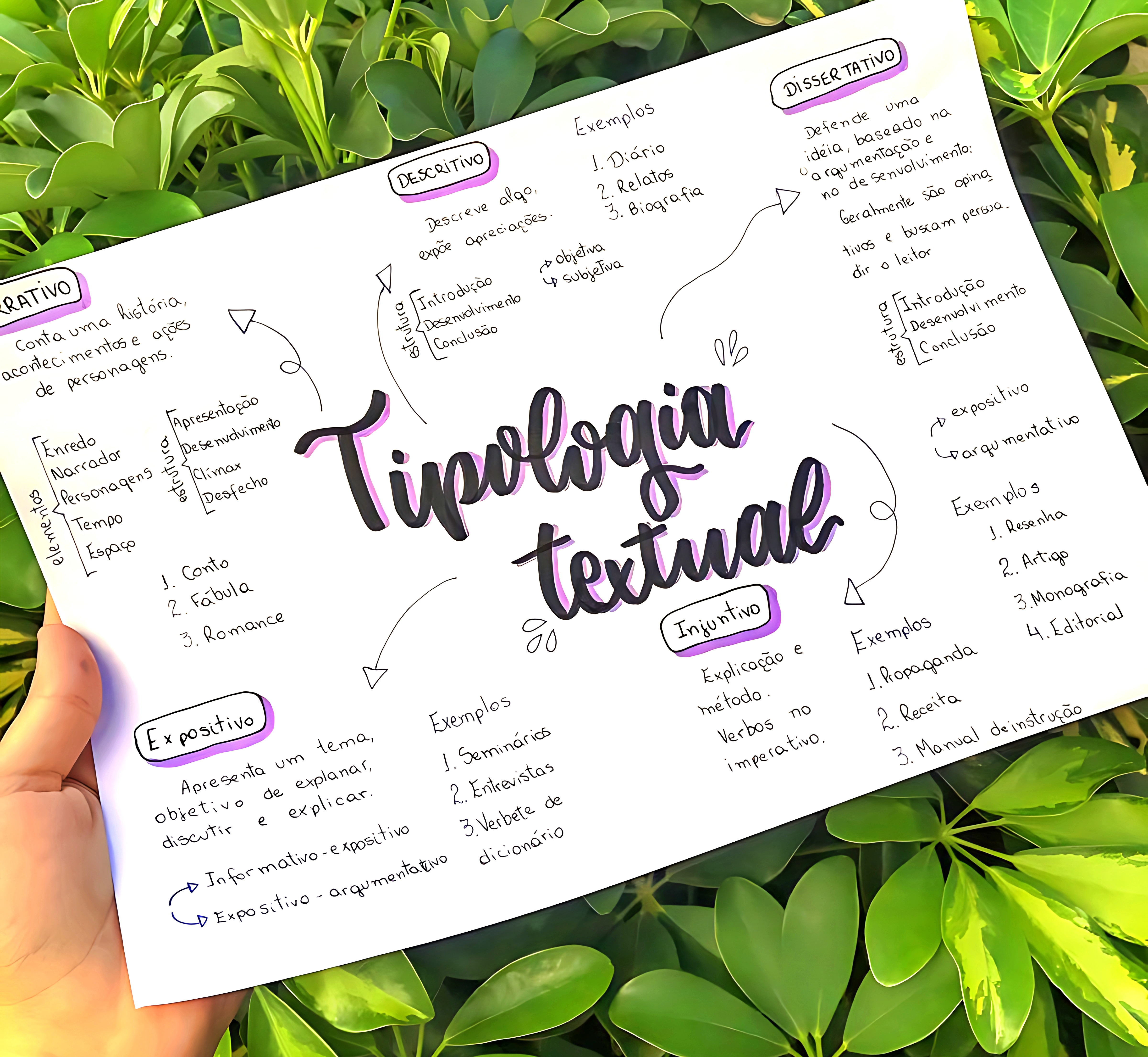 MAPA MENTAL SOBRE TIPOLOGIA TEXTUAL