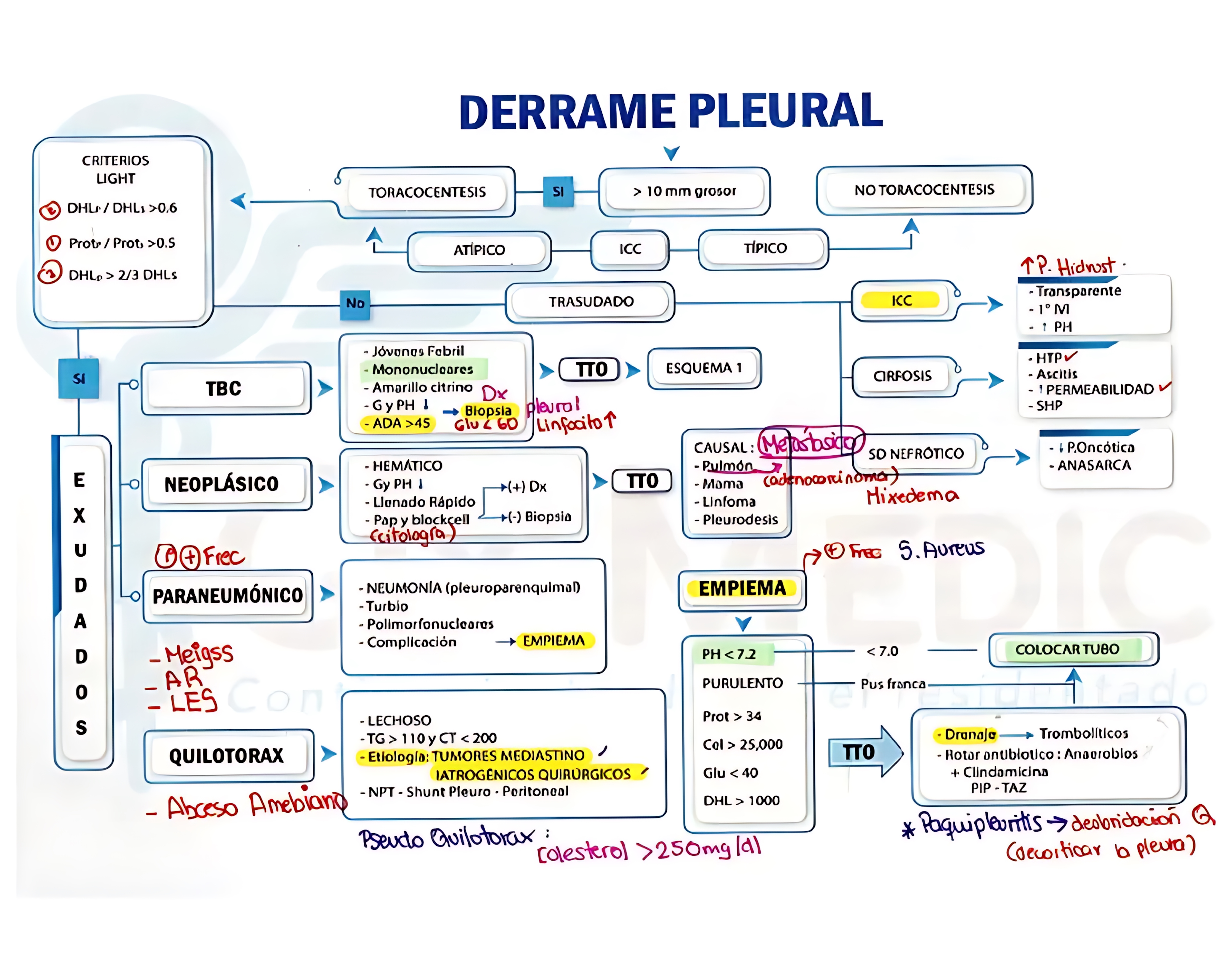 MAPA MENTAL SOBRE DERRAME PLEURAL