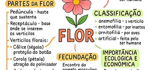MAPA MENTAL SOBRE FLOR