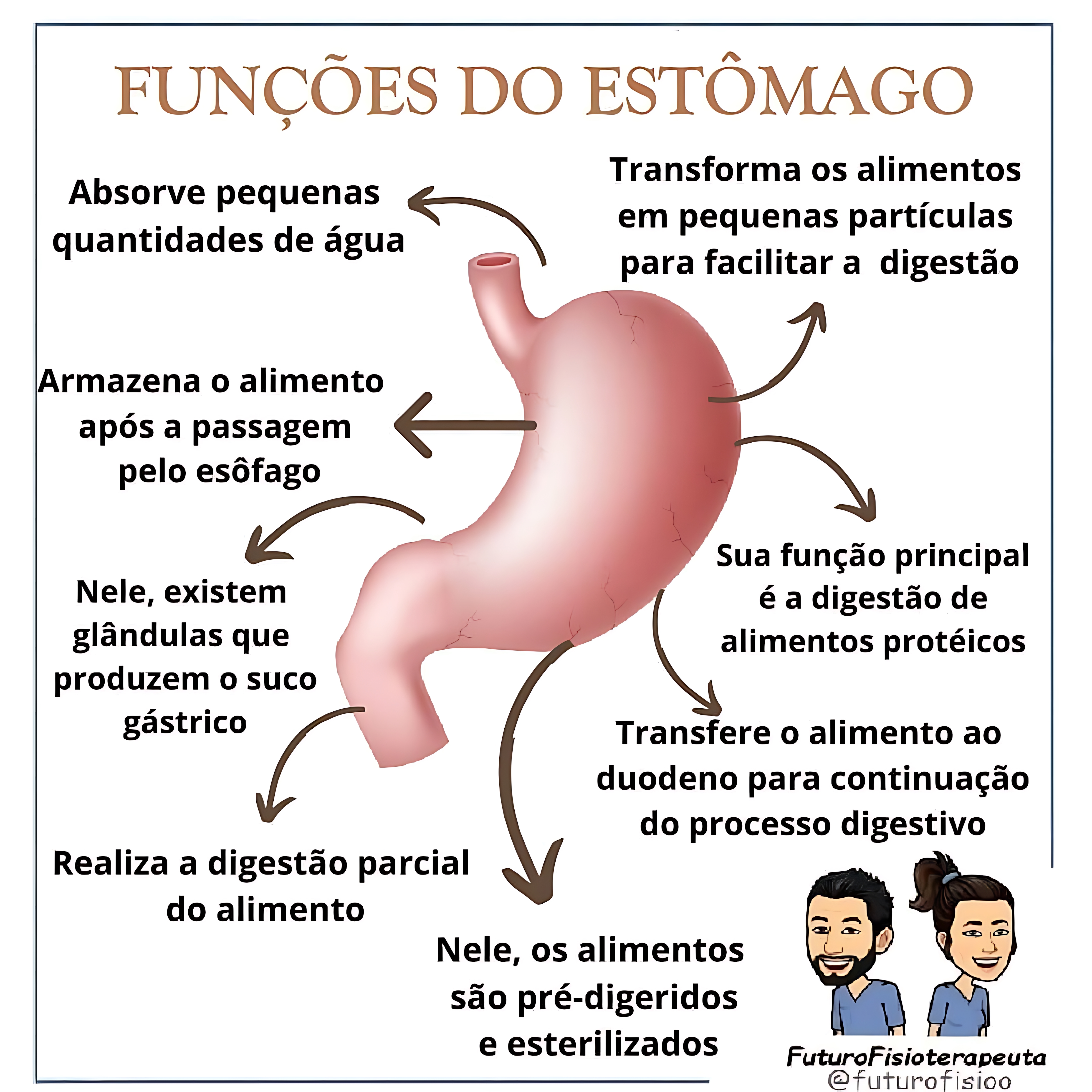 MAPA MENTAL SOBRE ESTÔMAGO