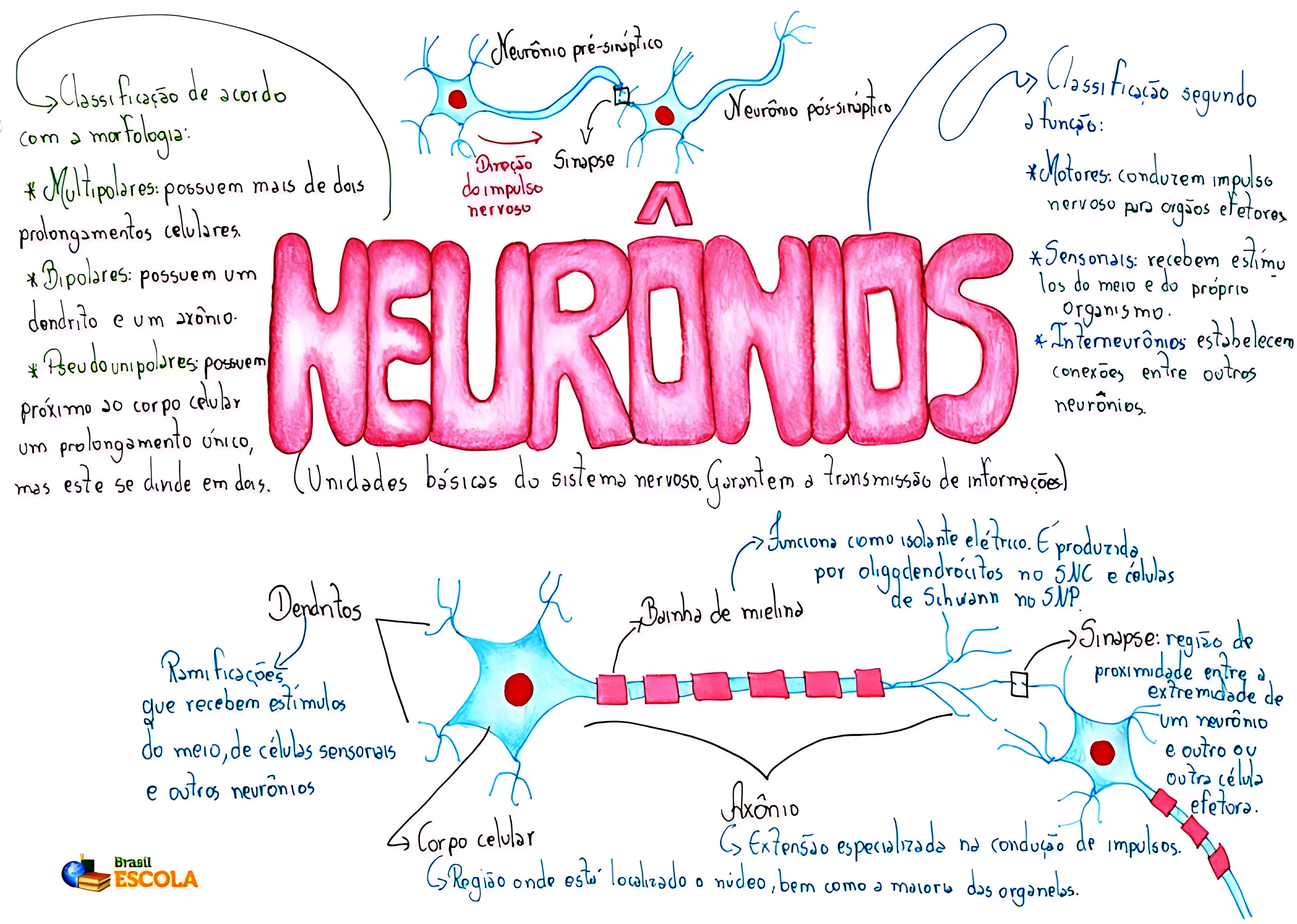 MAPA MENTAL SOBRE NEURÔNIOS