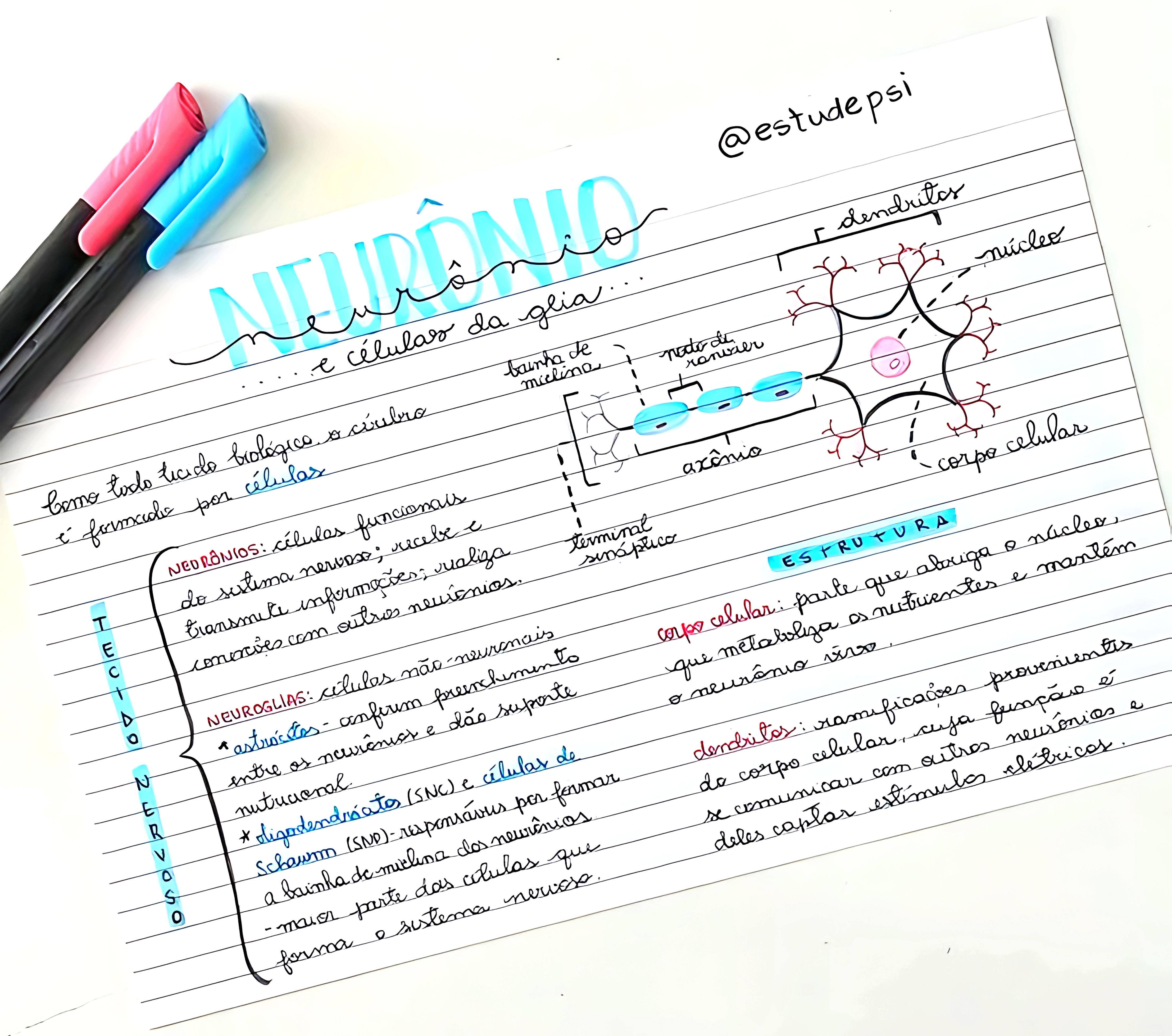 MAPA MENTAL SOBRE NEURÔNIOS