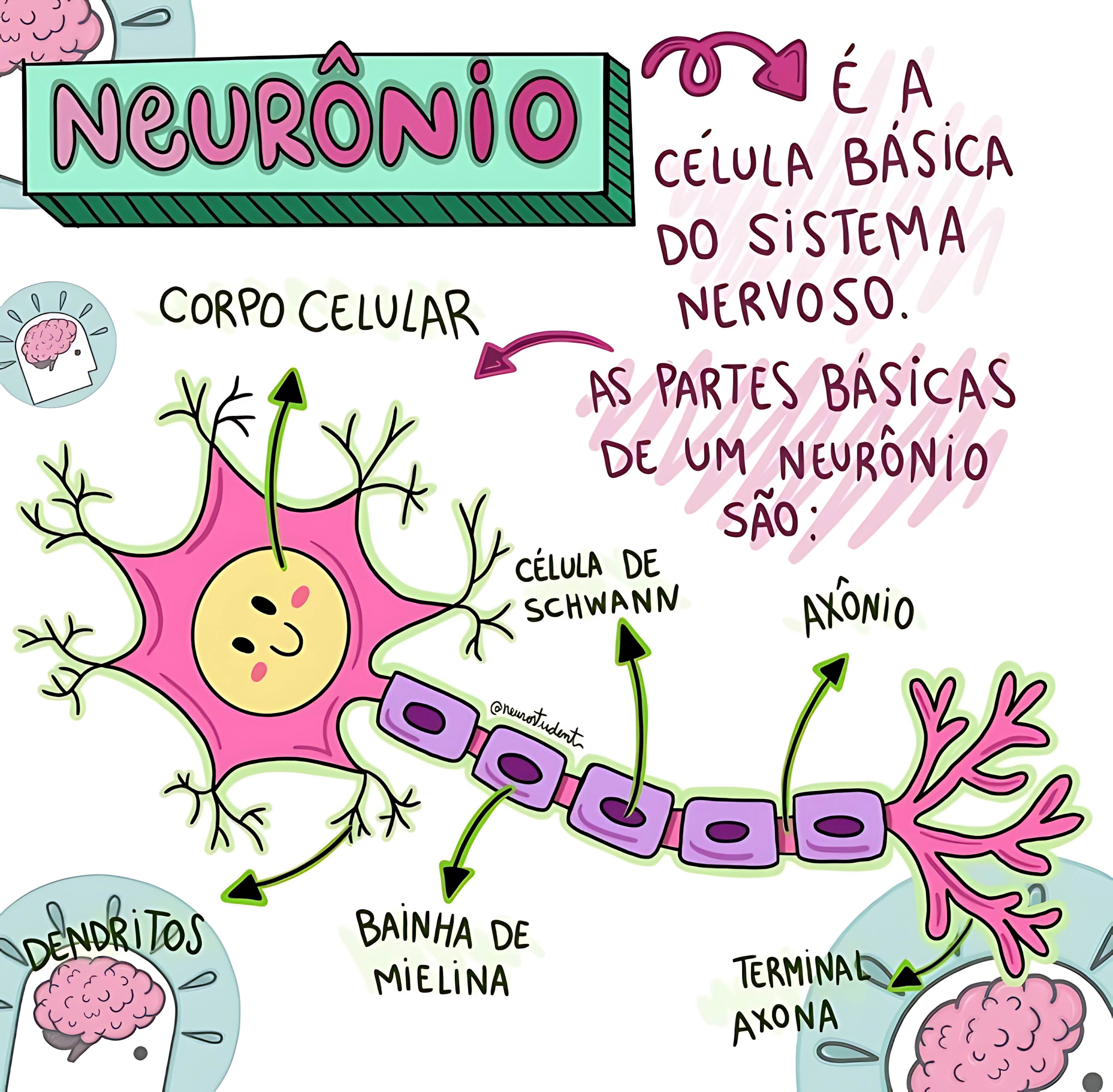 MAPA MENTAL SOBRE NEURÔNIOS