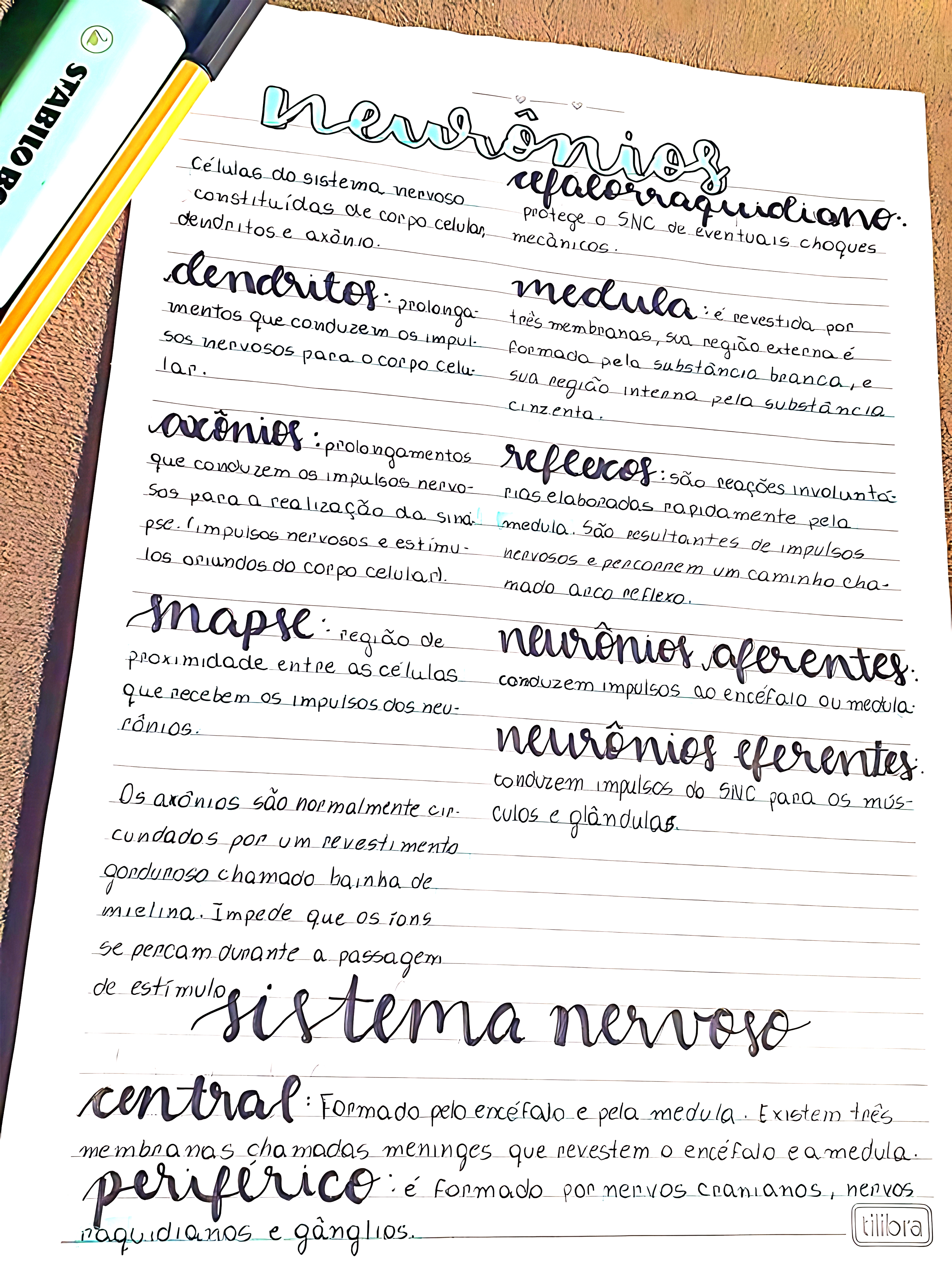 MAPA MENTAL SOBRE NEURÔNIOS