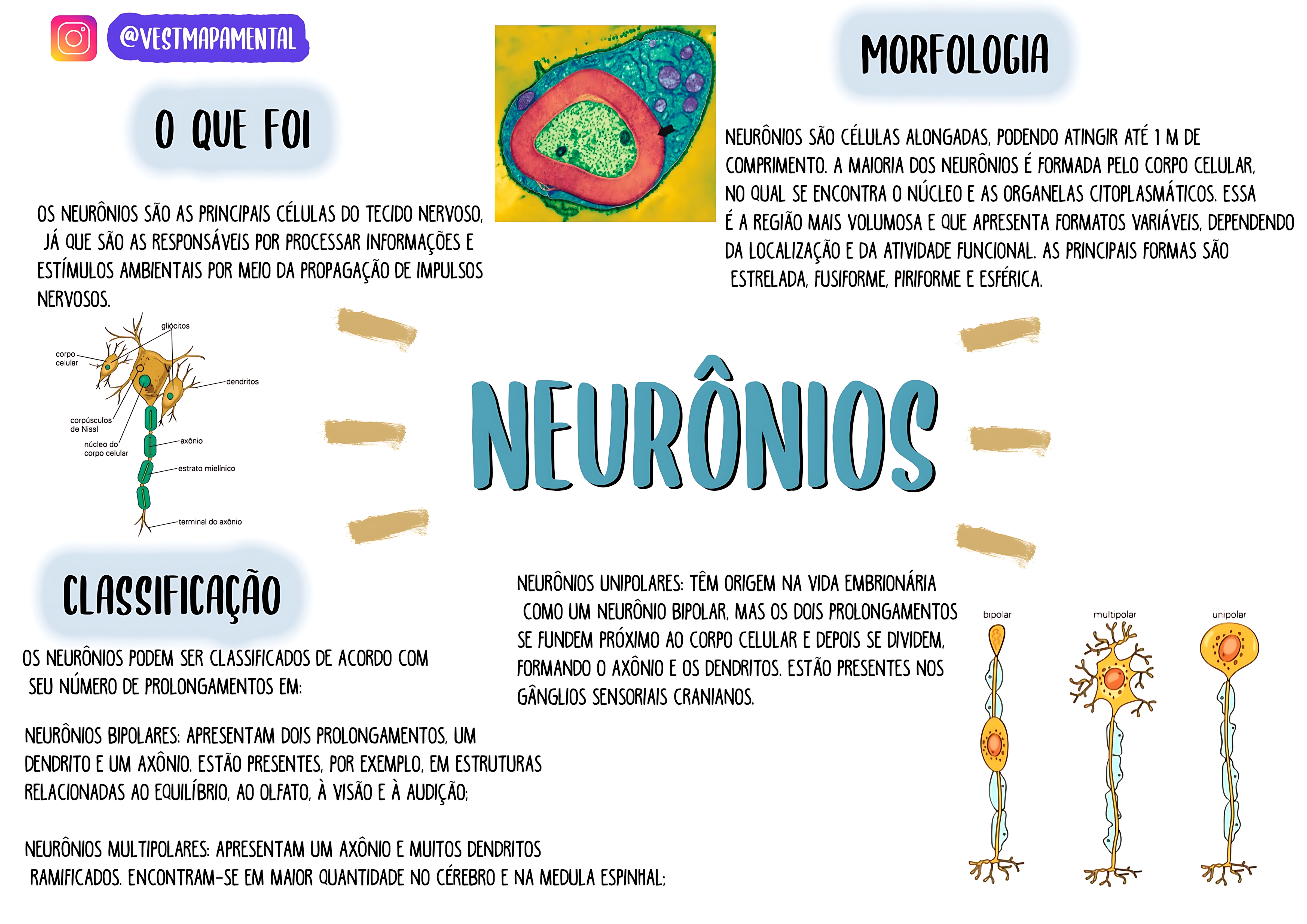 MAPA MENTAL SOBRE NEURÔNIOS