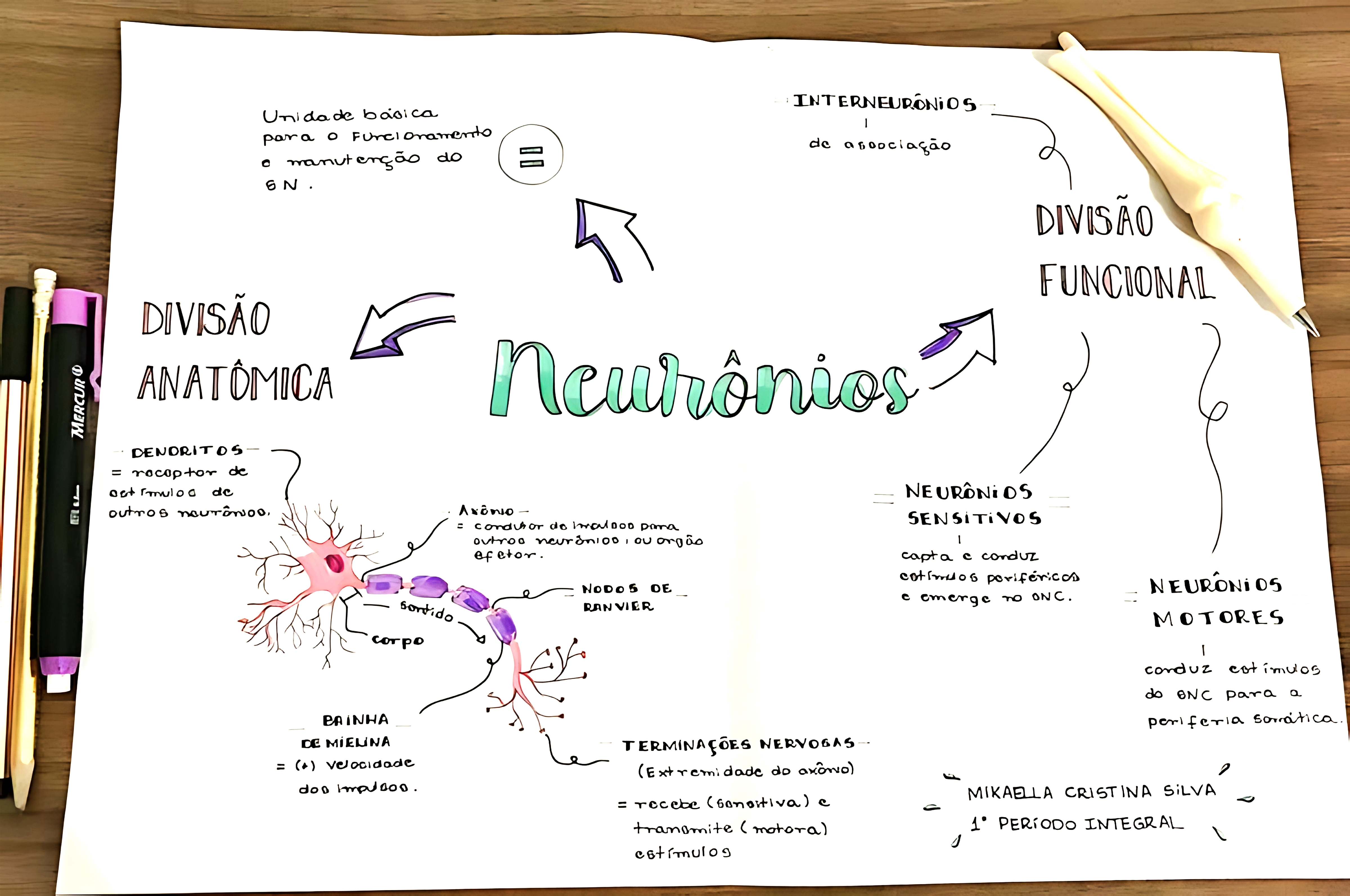 MAPA MENTAL SOBRE NEURÔNIOS
