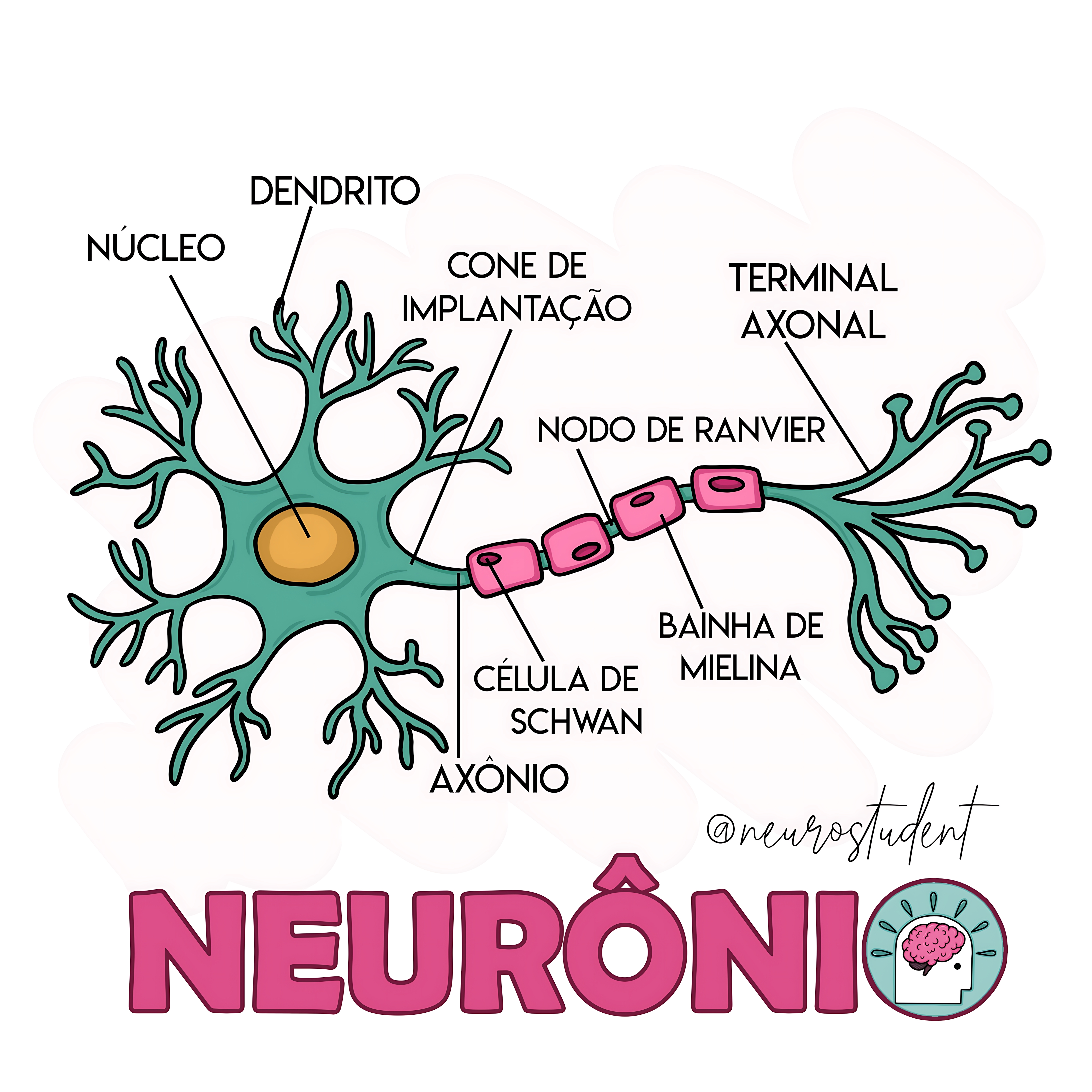 MAPA MENTAL SOBRE NEURÔNIOS