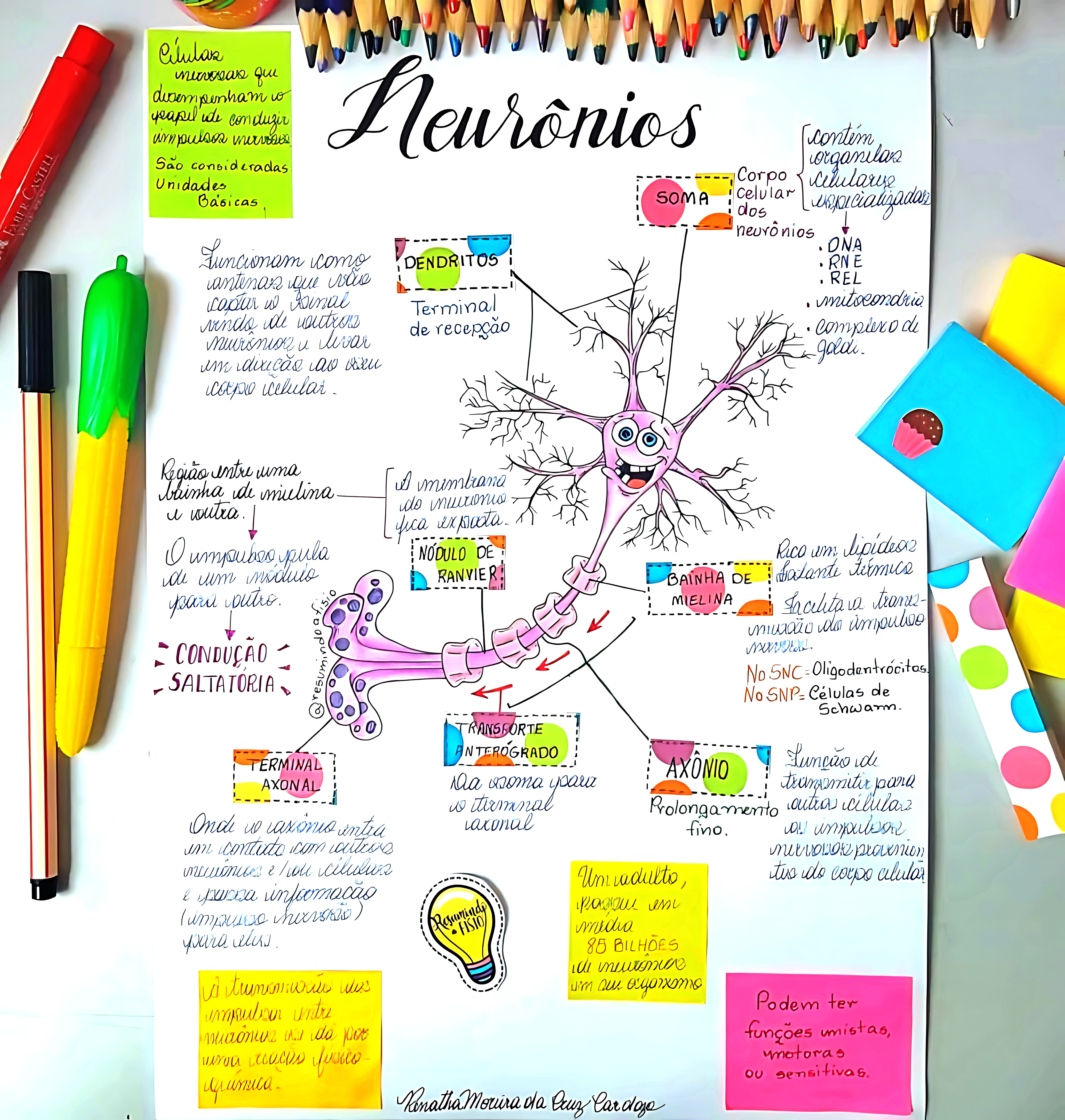 MAPA MENTAL SOBRE NEURÔNIOS