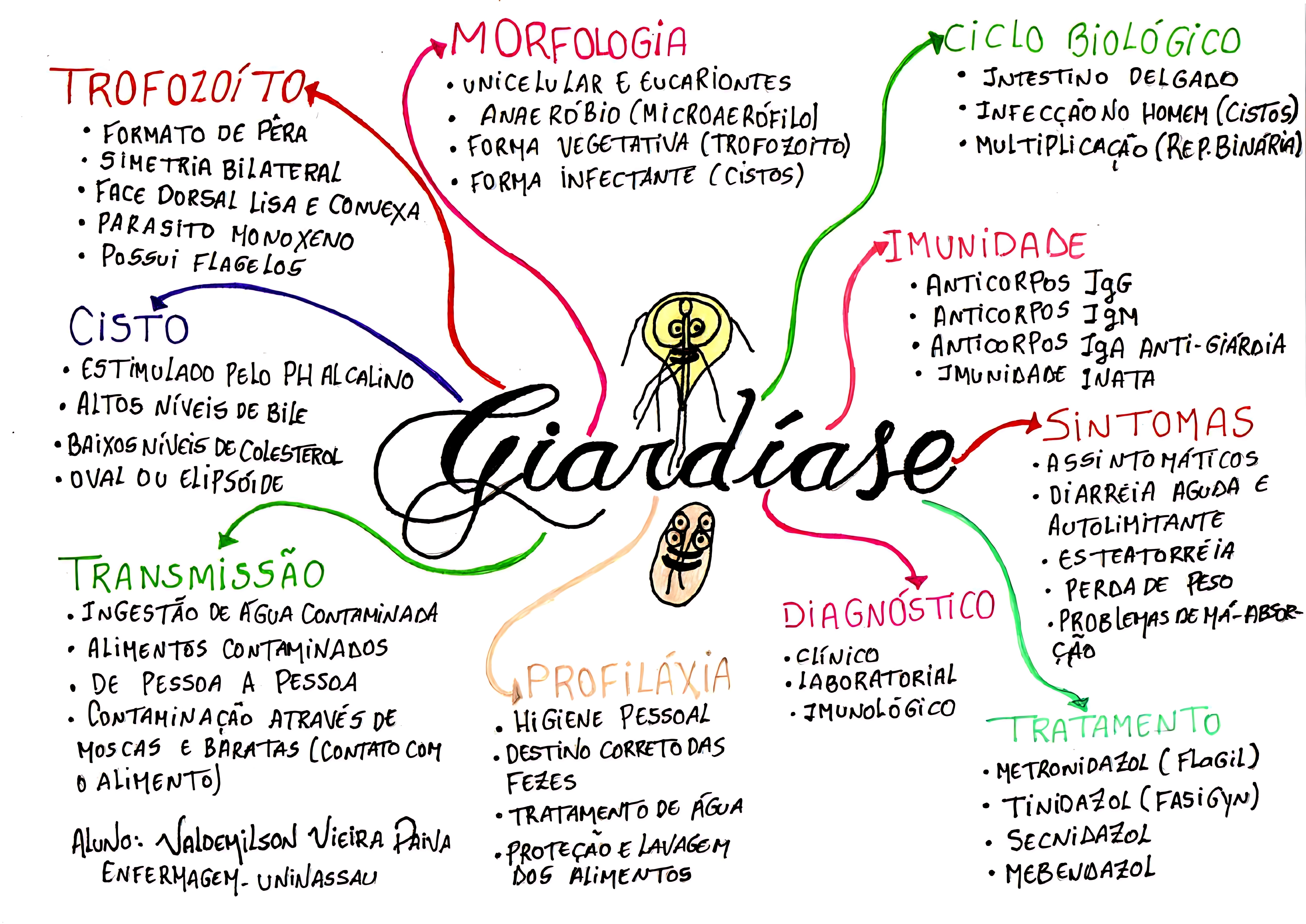 MAPA MENTAL SOBRE GIARDÍASE